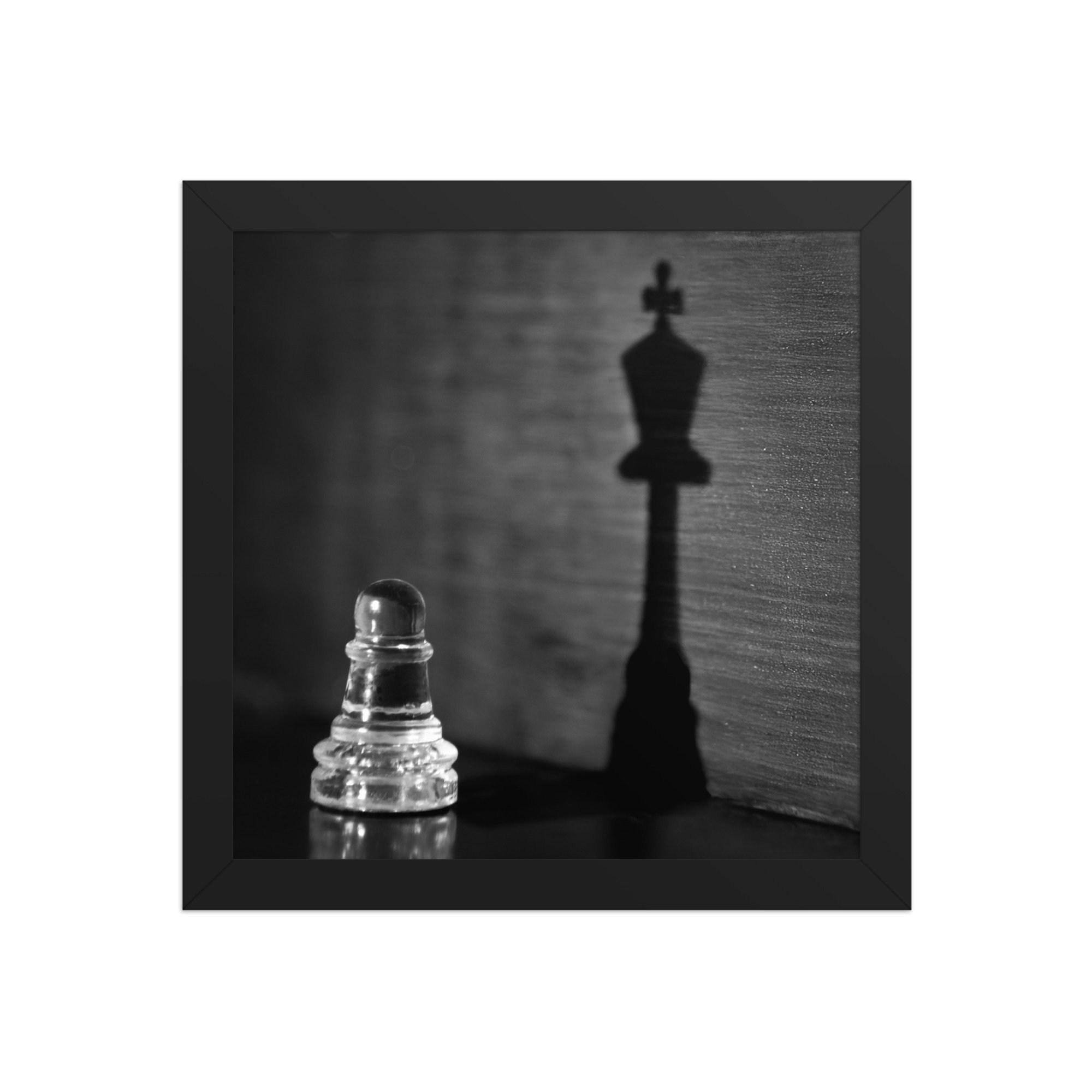 premium-luster-photo-paper-framed-poster-(in)-black-10x10-front-67b8e2162e4d8.jpg