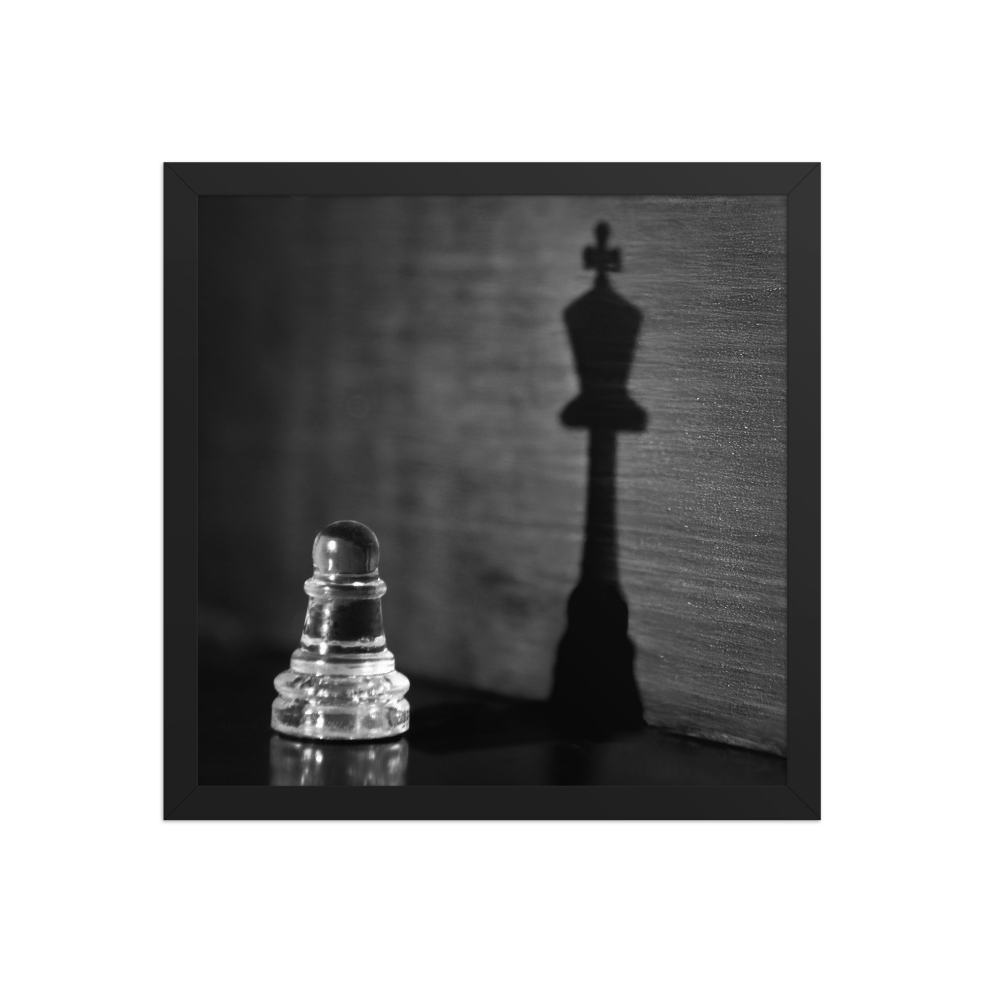 premium-luster-photo-paper-framed-poster-(in)-black-14x14-front-67b8e2162e7dc.jpg