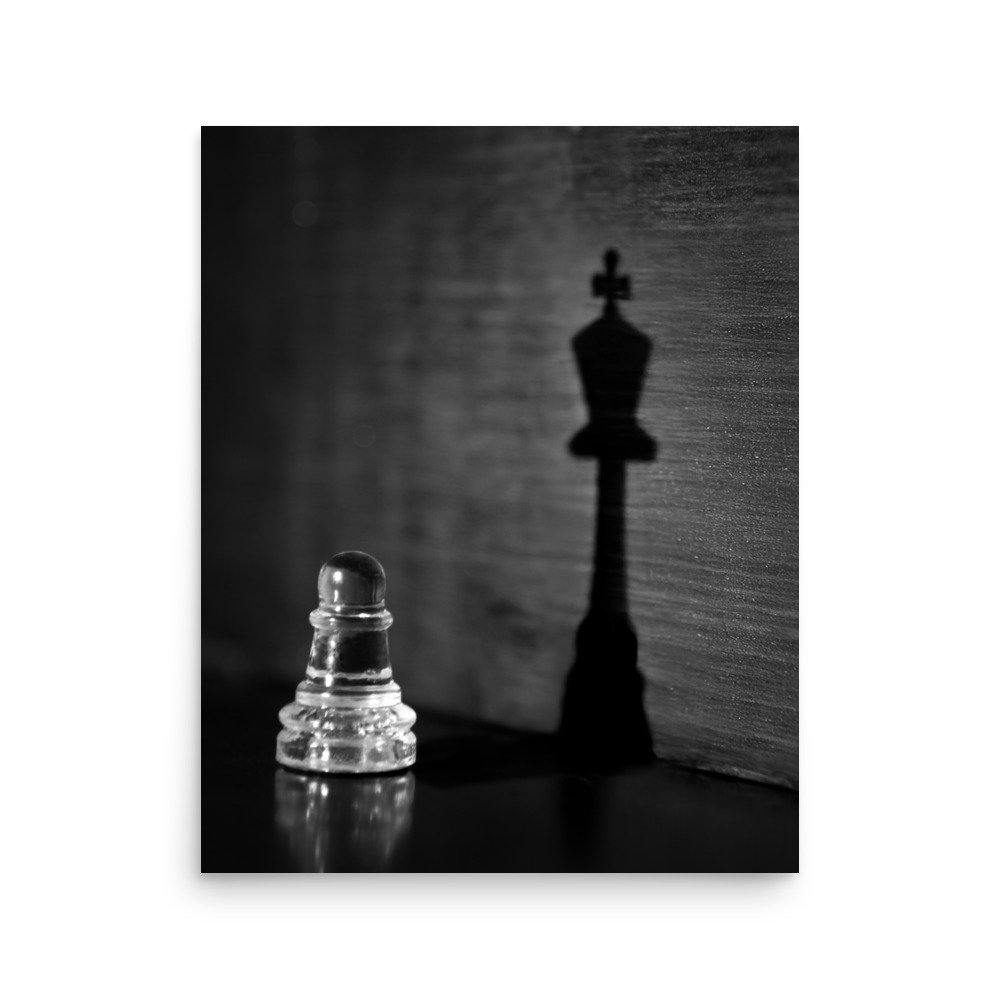 premium-luster-photo-paper-poster-(in)-16x20-front-67b8e369d19d7.jpg