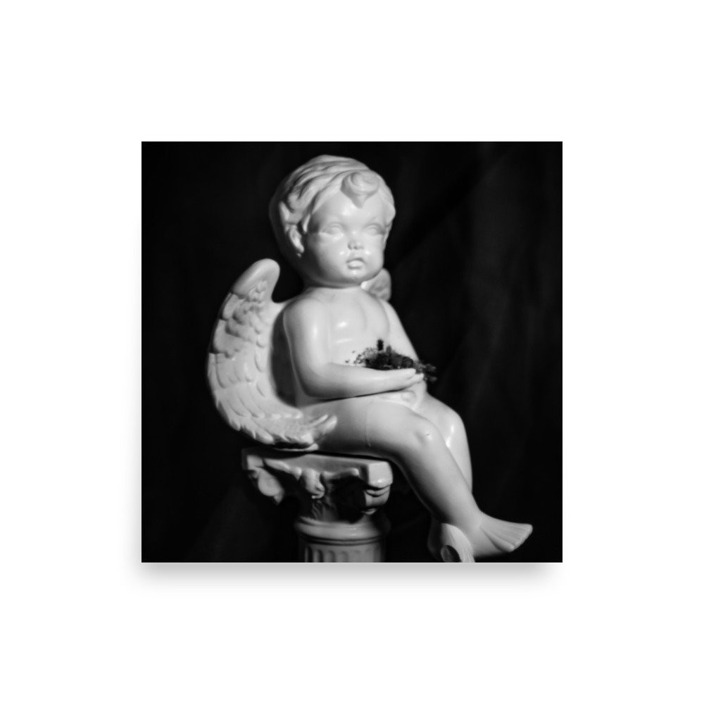 premium-luster-photo-paper-poster-(in)-10x10-front-67f9431d83a6a.jpg