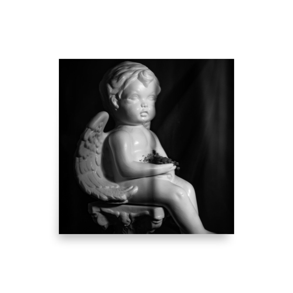 premium-luster-photo-paper-poster-(in)-10x10-front-67f944fa6f80c.jpg