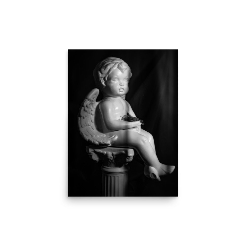 premium-luster-photo-paper-poster-(in)-12x16-front-67f944fa6fc16.jpg