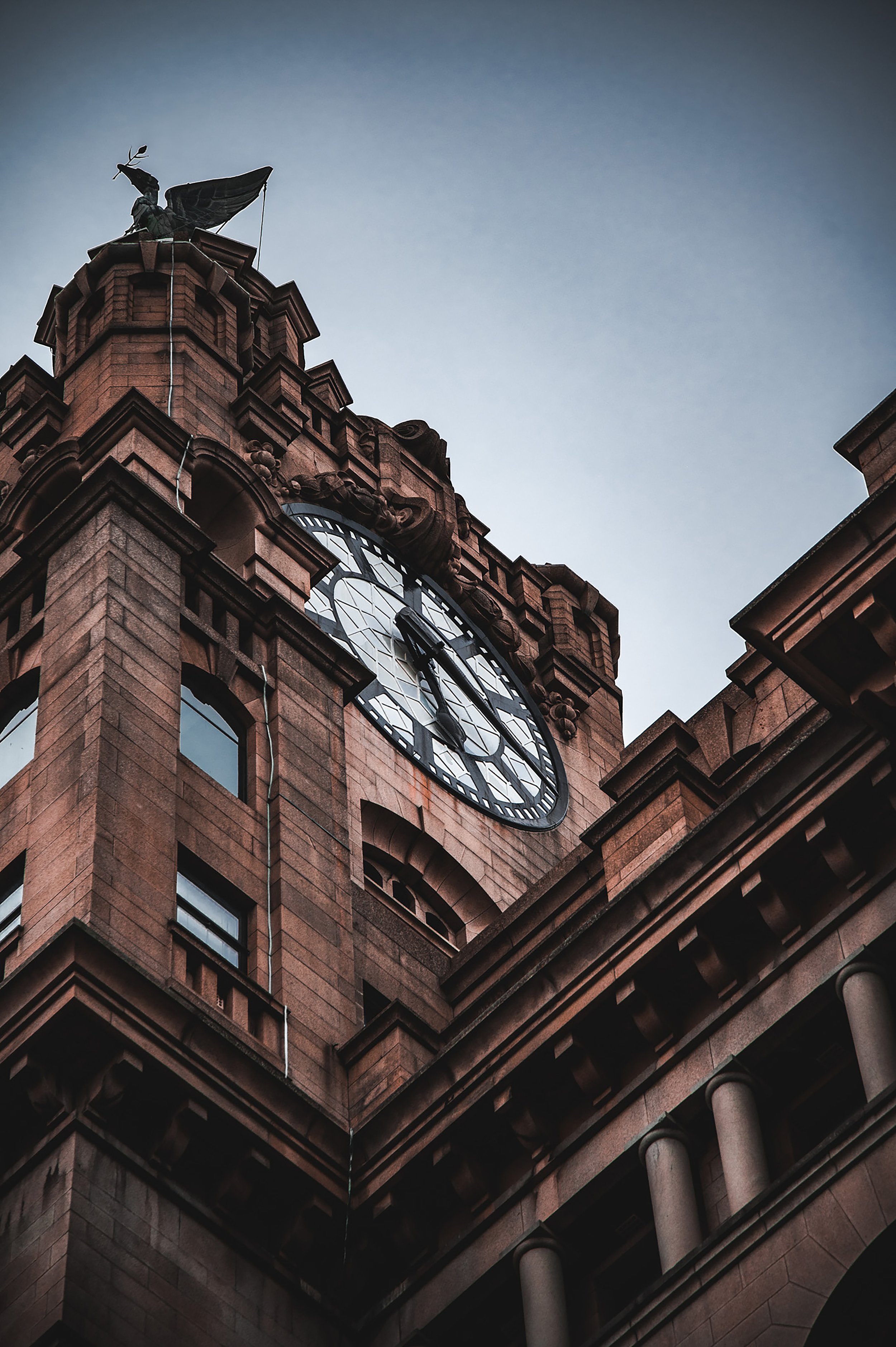 Liver Building