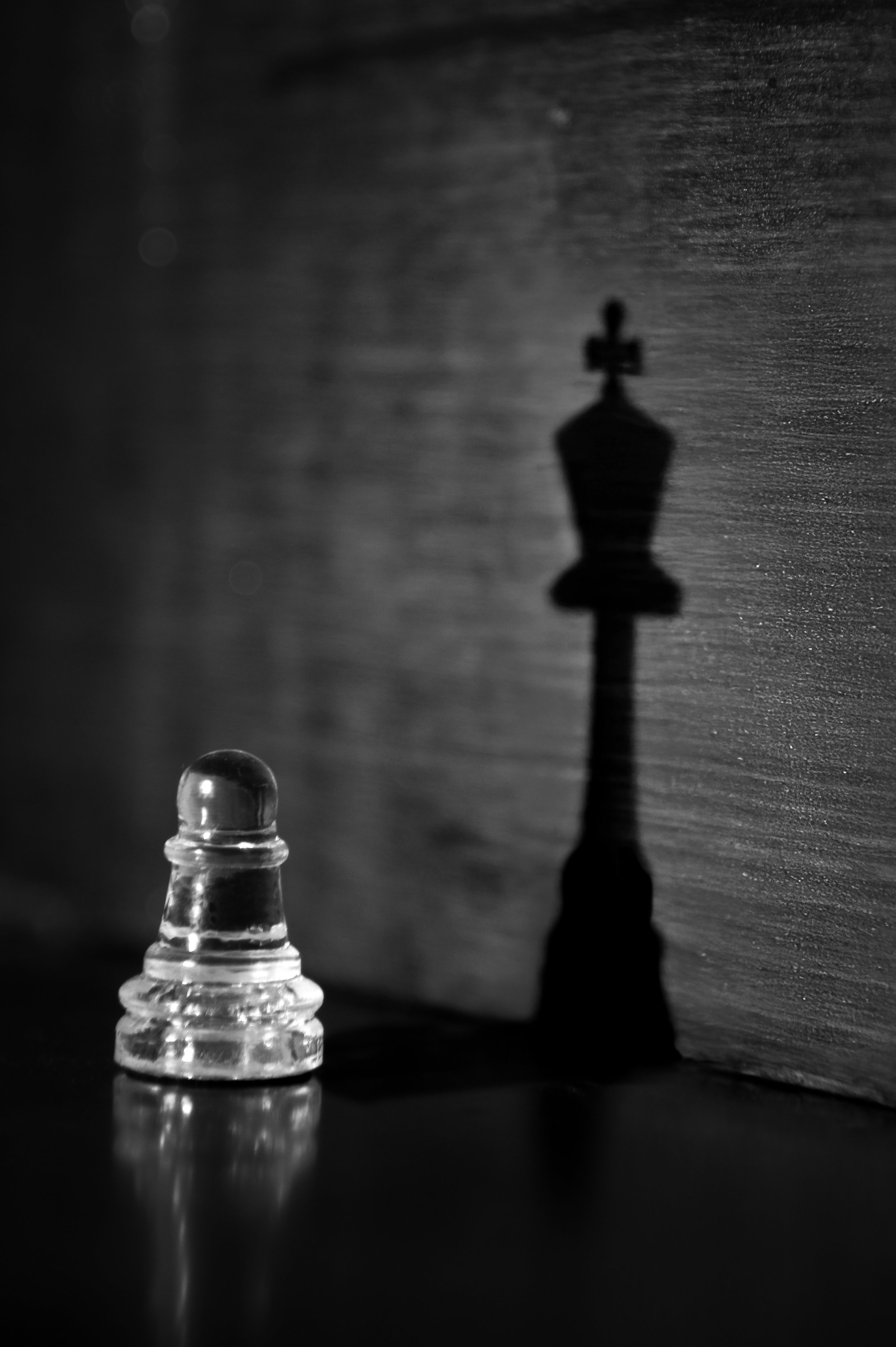 The King Within
