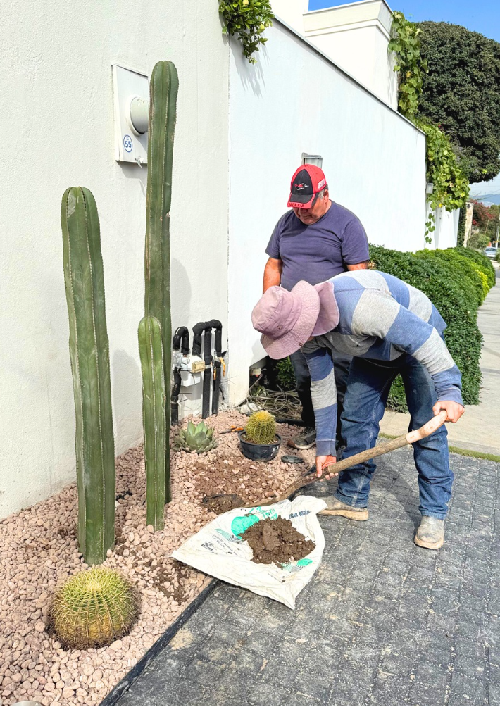 Captura de pantalla 2025-12-30 144614.png