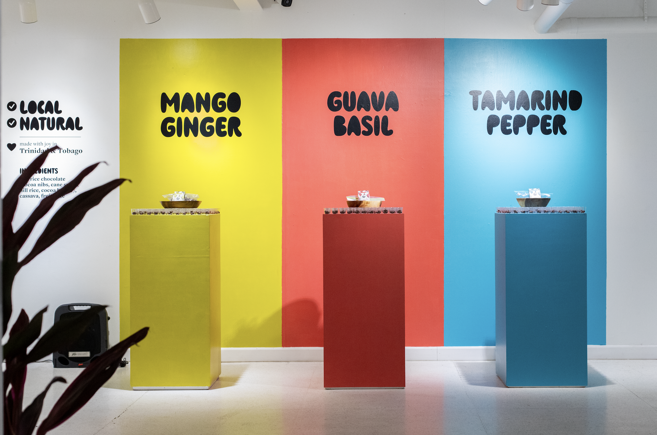 Screenshot 2024-11-08 at 4.51.44 PM.png