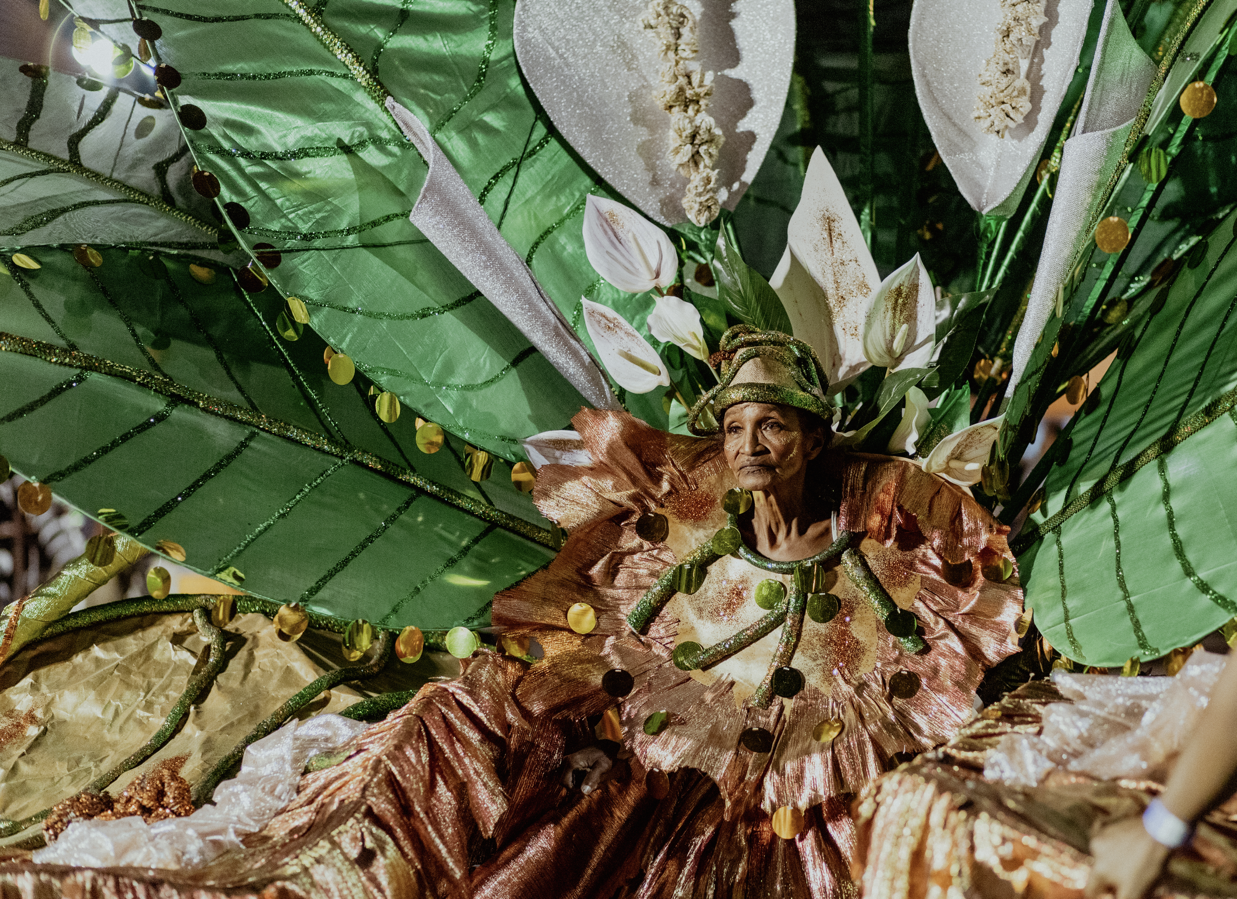 Screenshot 2024-06-11 at 1.42.52 PM.png