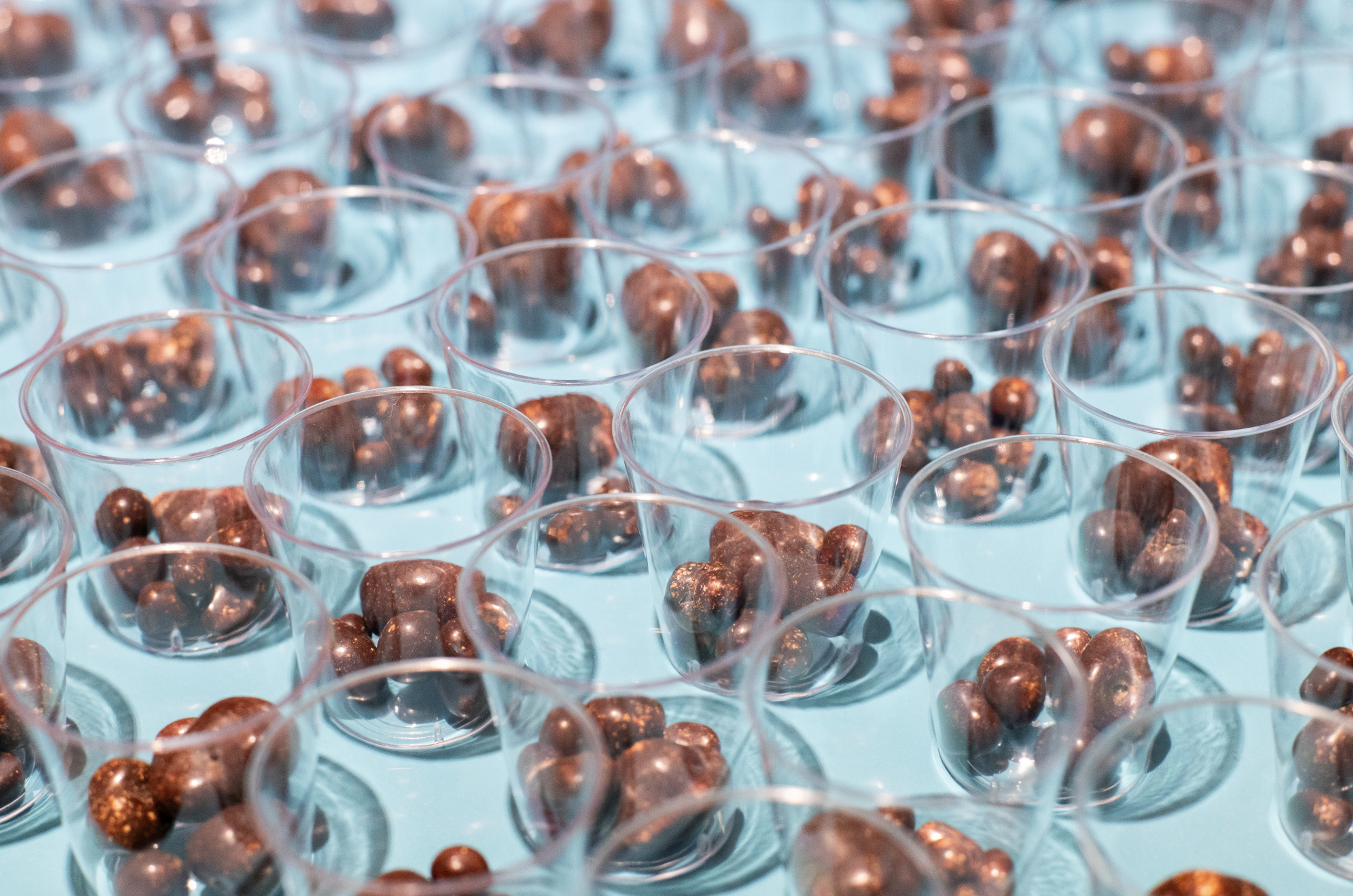 Screenshot 2024-11-08 at 4.54.21 PM.png