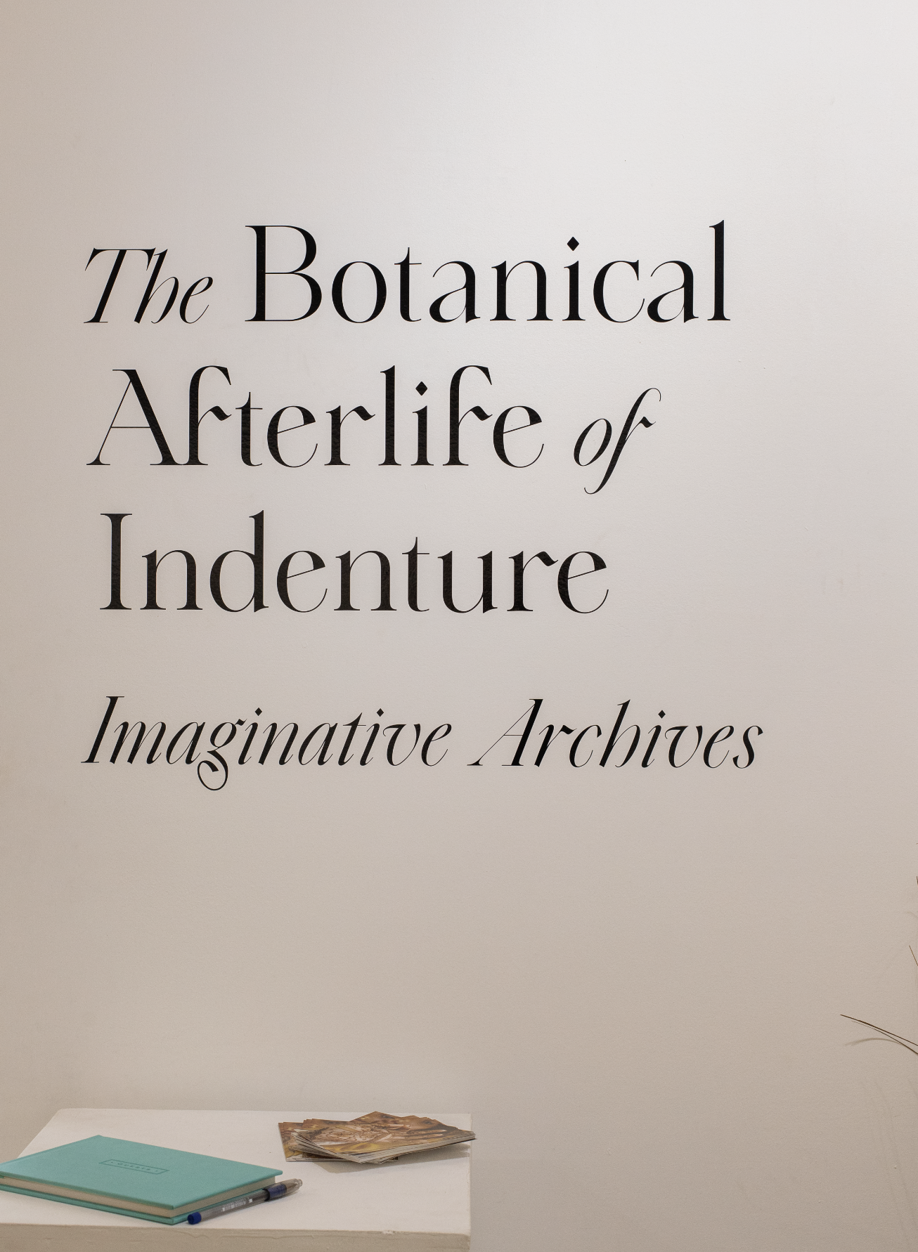 Screenshot 2025-06-24 at 5.46.45 PM.png