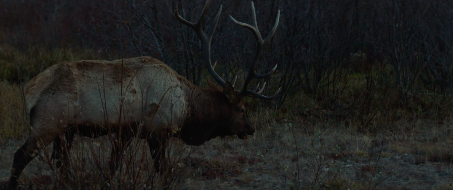 Screen Shot 2018-12-05 at 10.03.46 AM.png