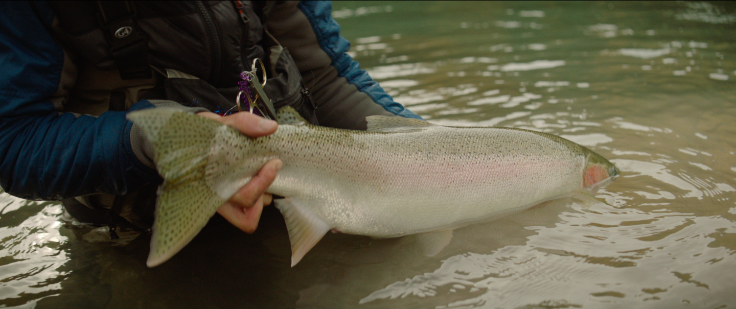 Screen Shot 2018-12-05 at 10.10.59 AM.png