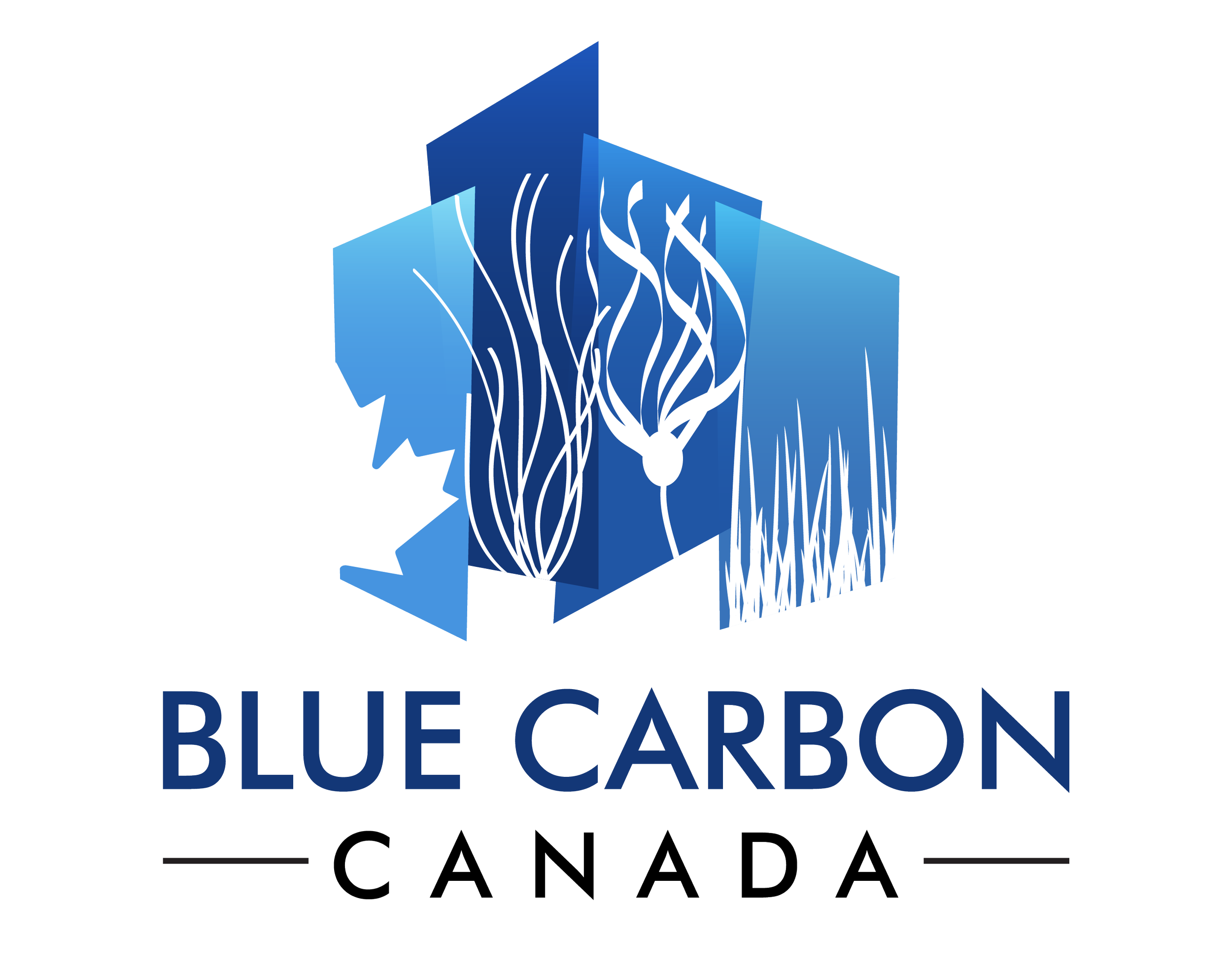 Blue Carbon Canada