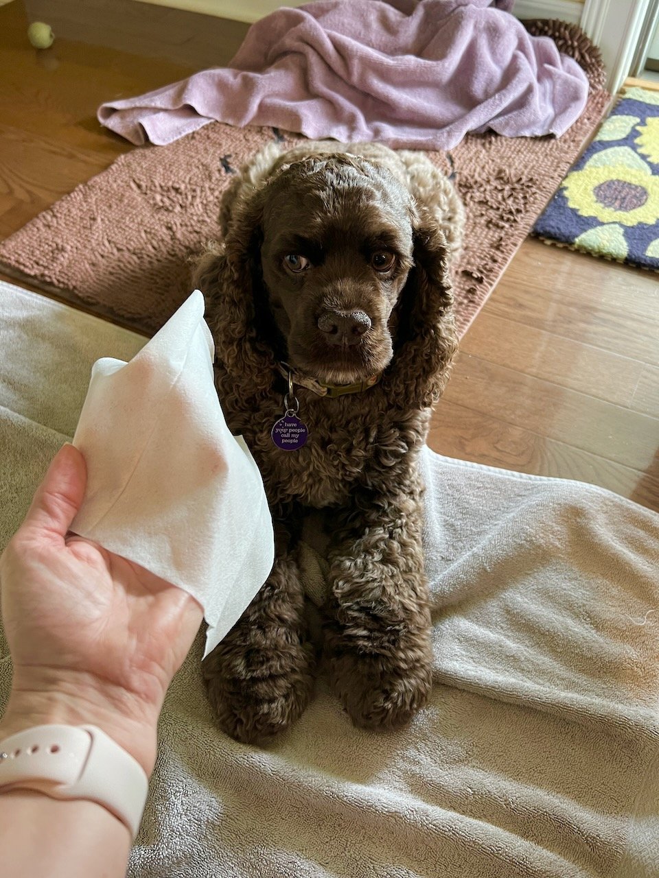 Oh no...time to get my ears cleaned...