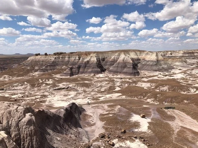 Painted Desert