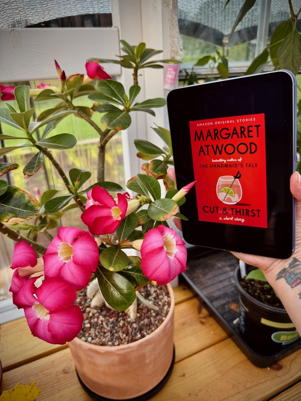 Cut and Thirst (by Margaret Atwood)