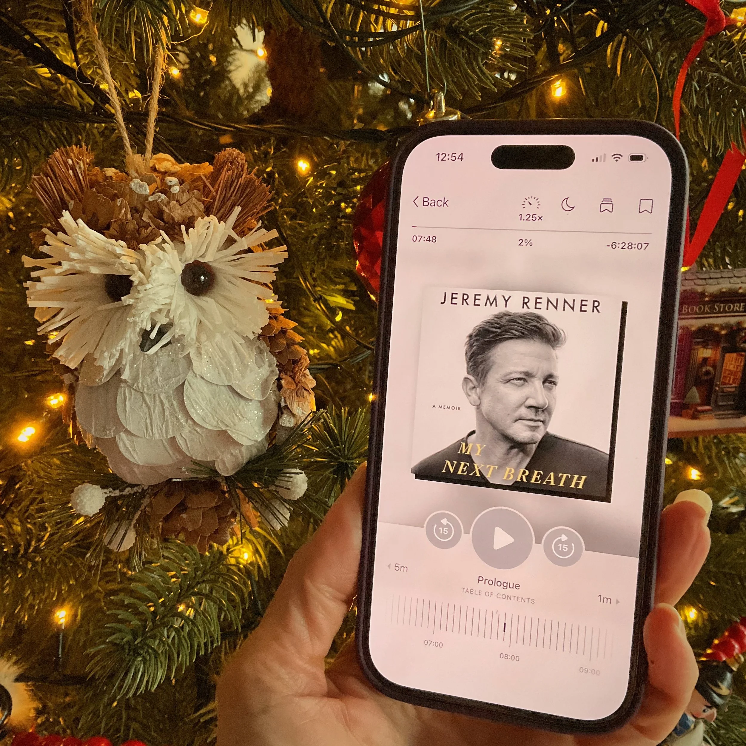 My Next Breath (Jeremy Renner)