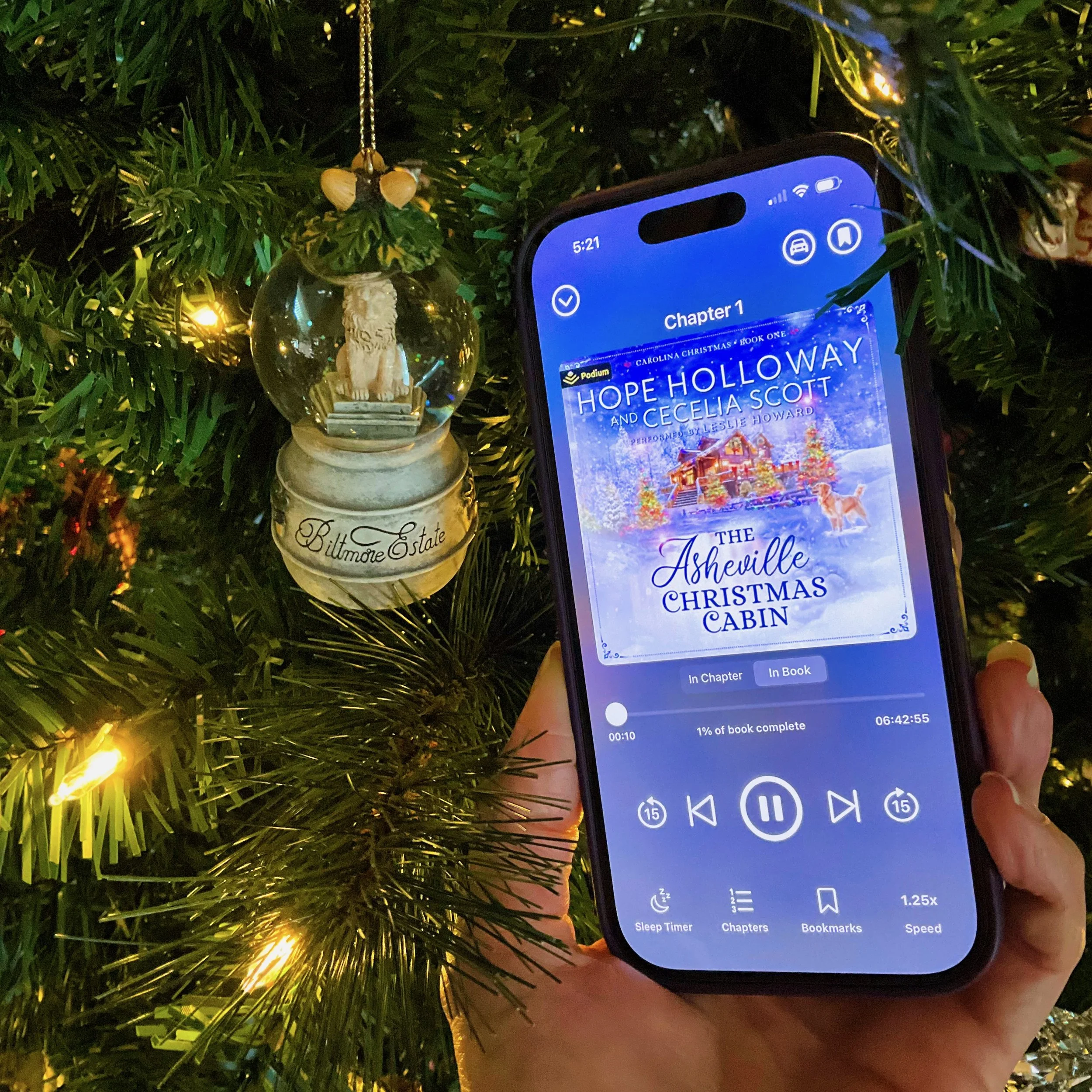 The Asheville Christmas Cabin (by Hope Holloway and Cecelia Scott)