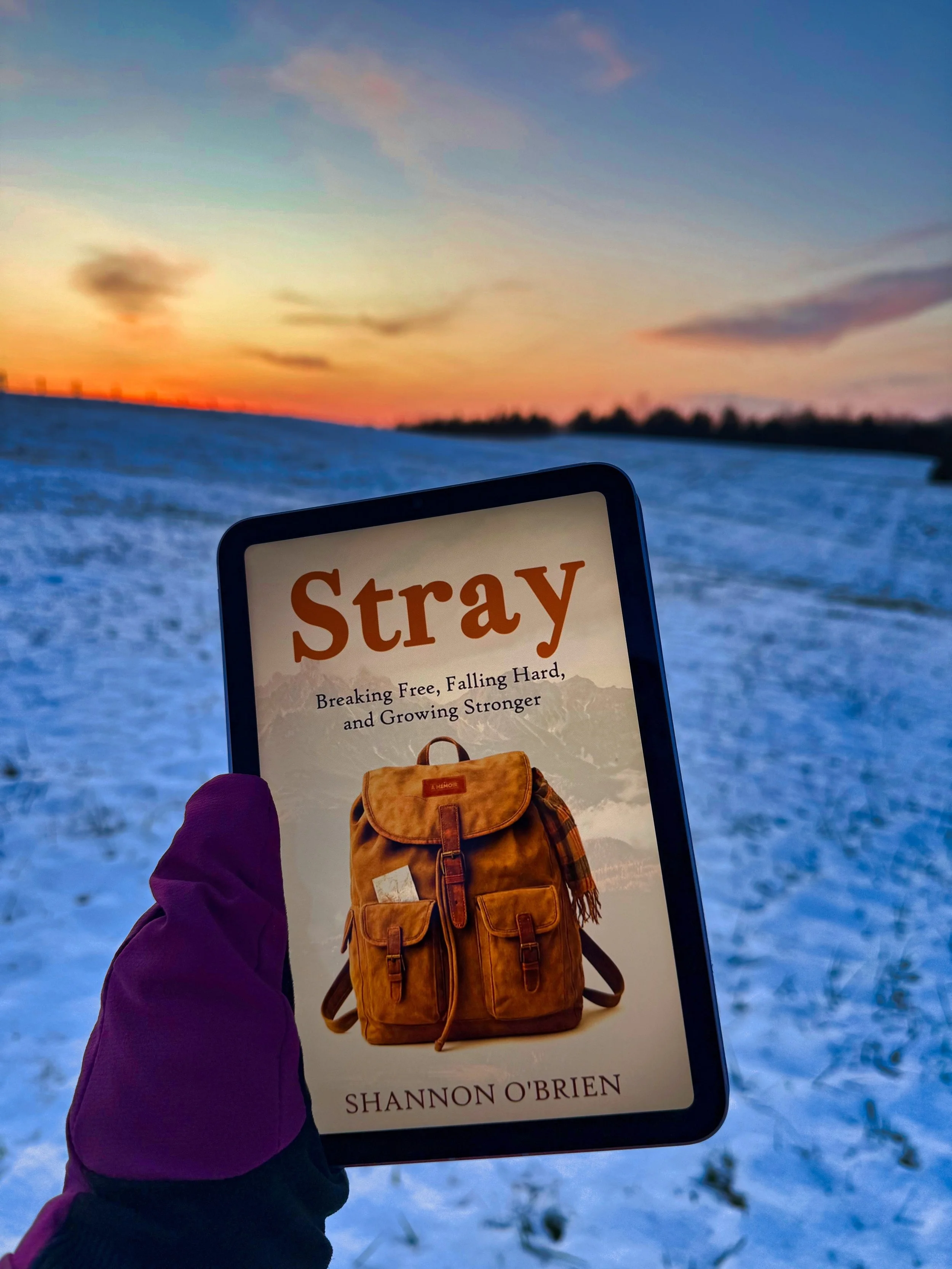 Stray (Shannon O’Brien)