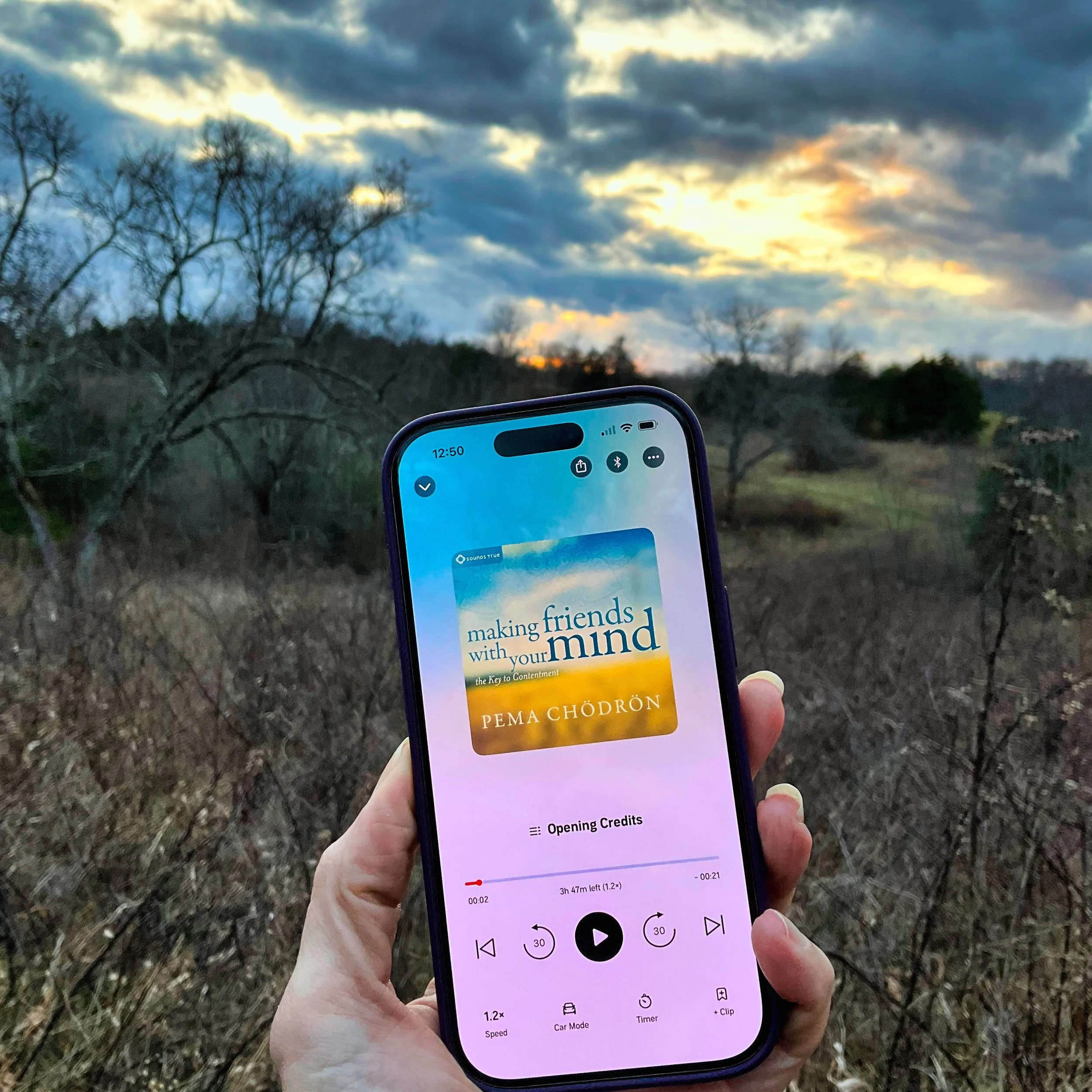 Making Friends with Your Mind (by Pema Chödrön)