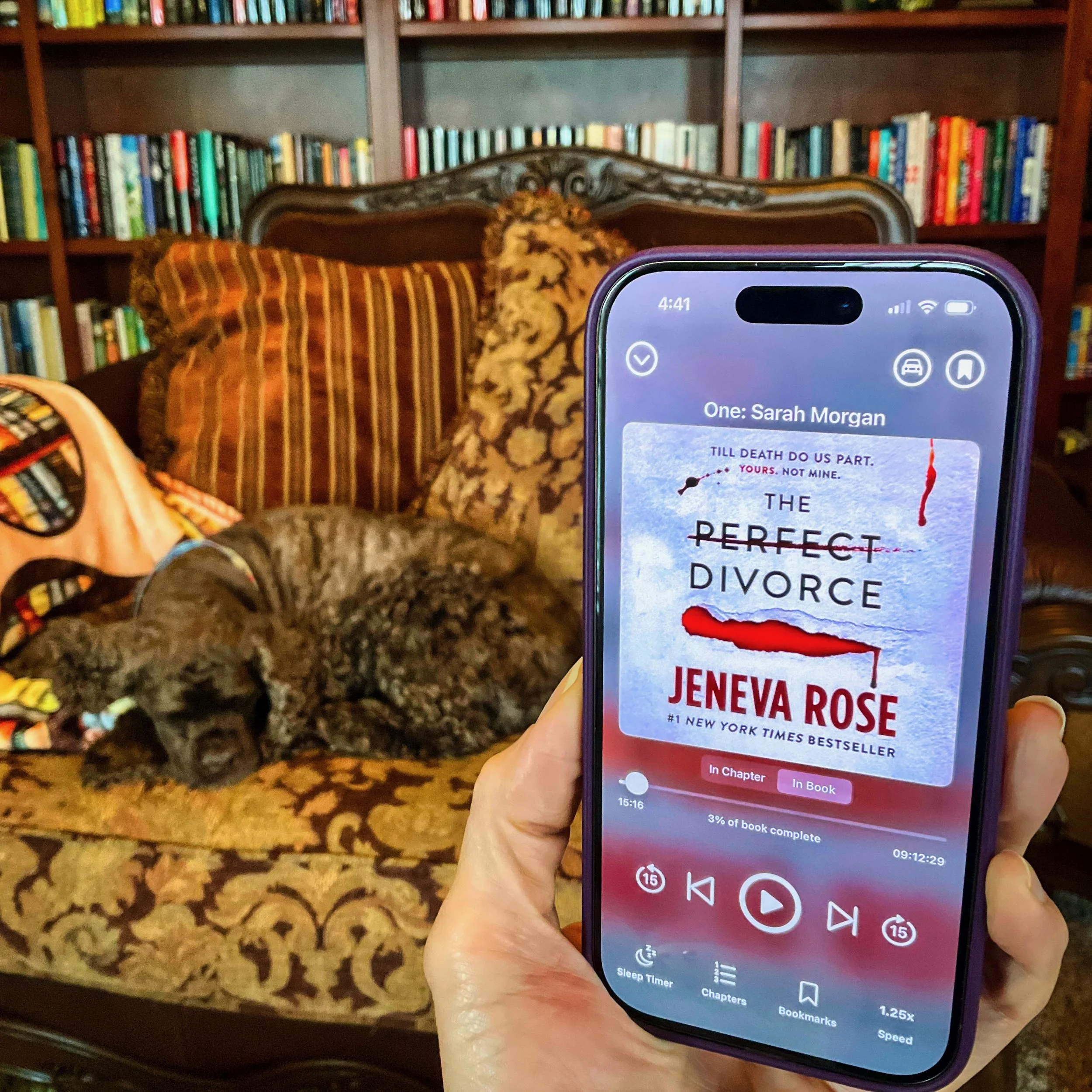 The Perfect Divorce (by Jeneva Rose)