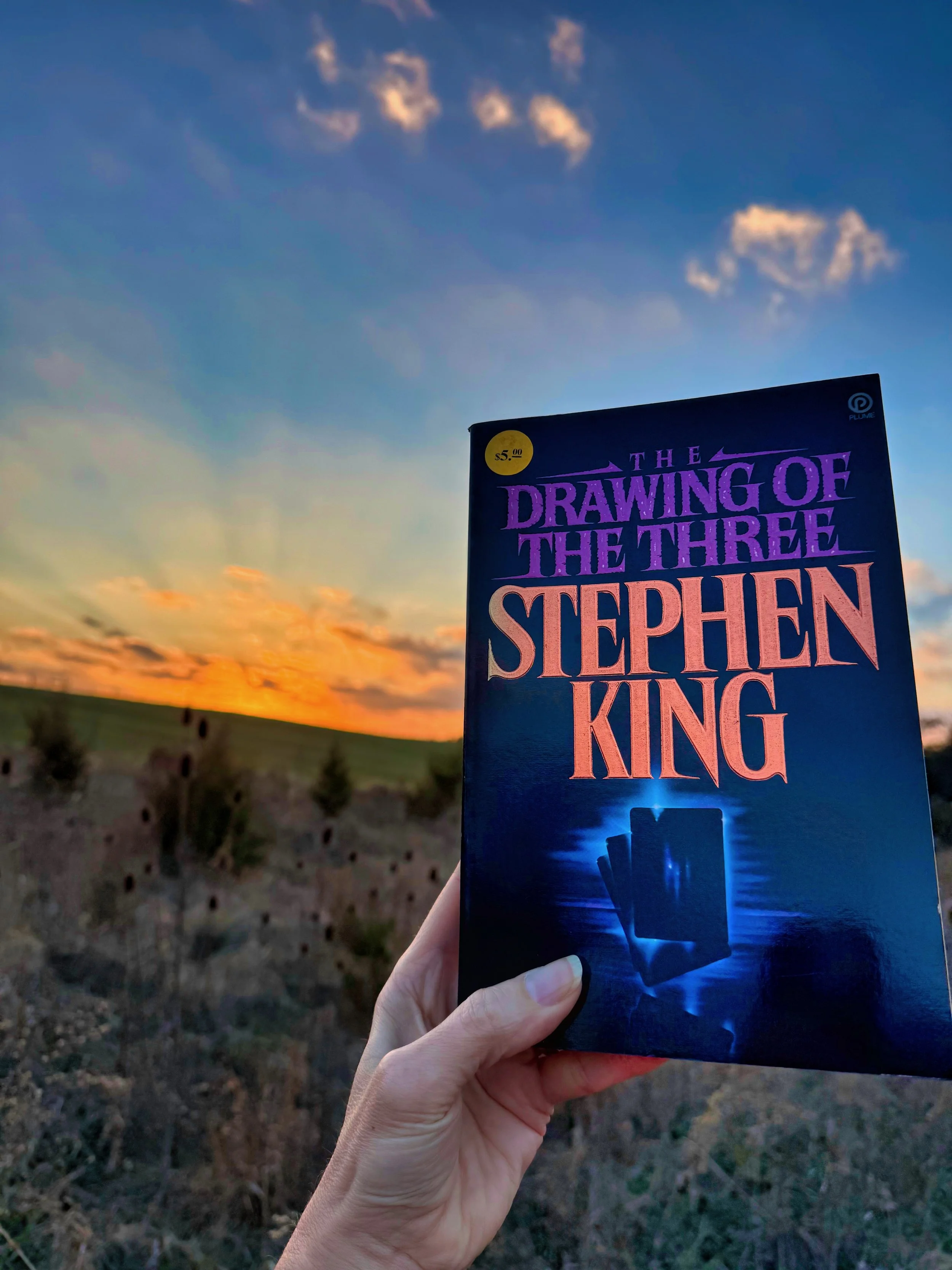 The Drawing of the Three (by Stephen King)