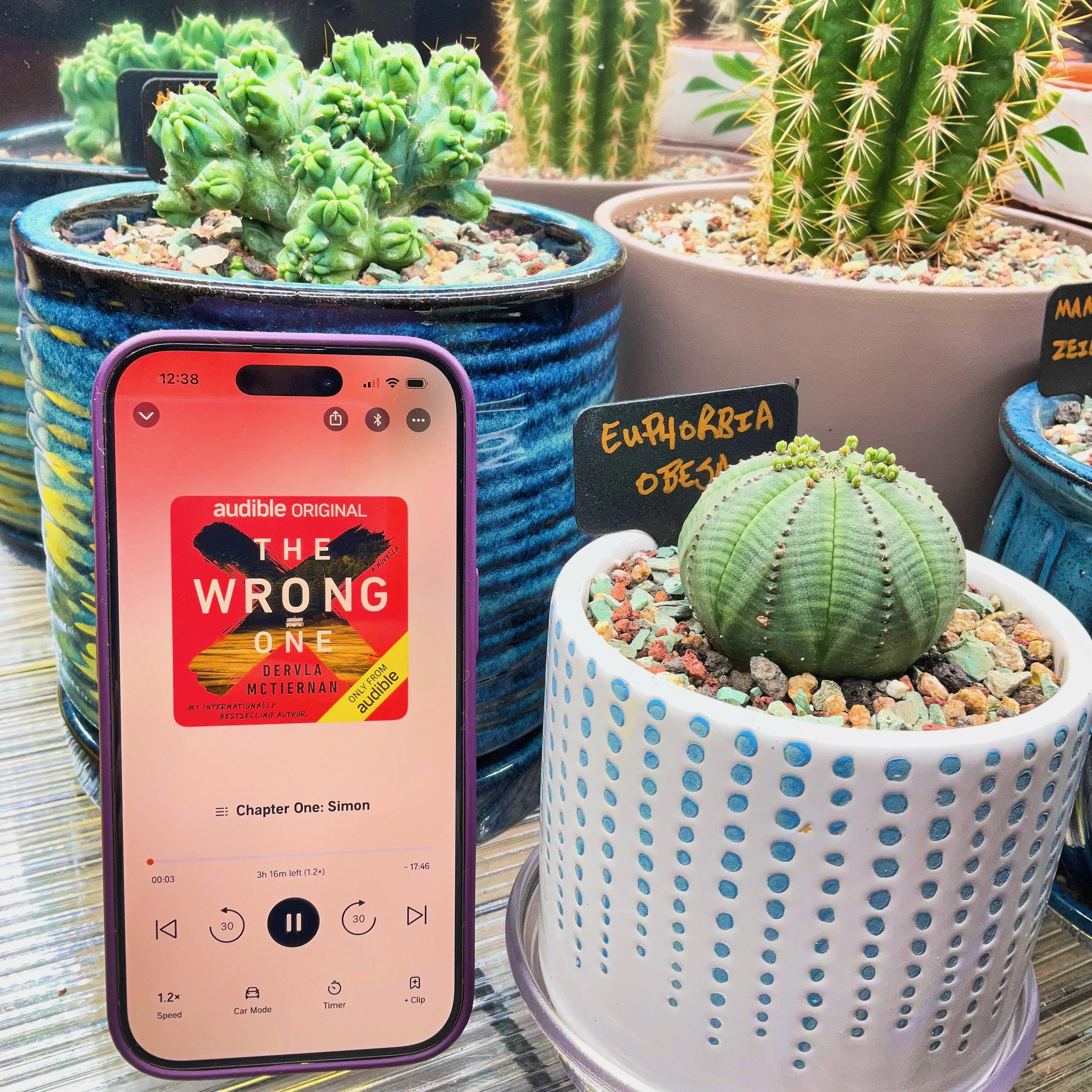 The Wrong One (by Dervla McTiernan)