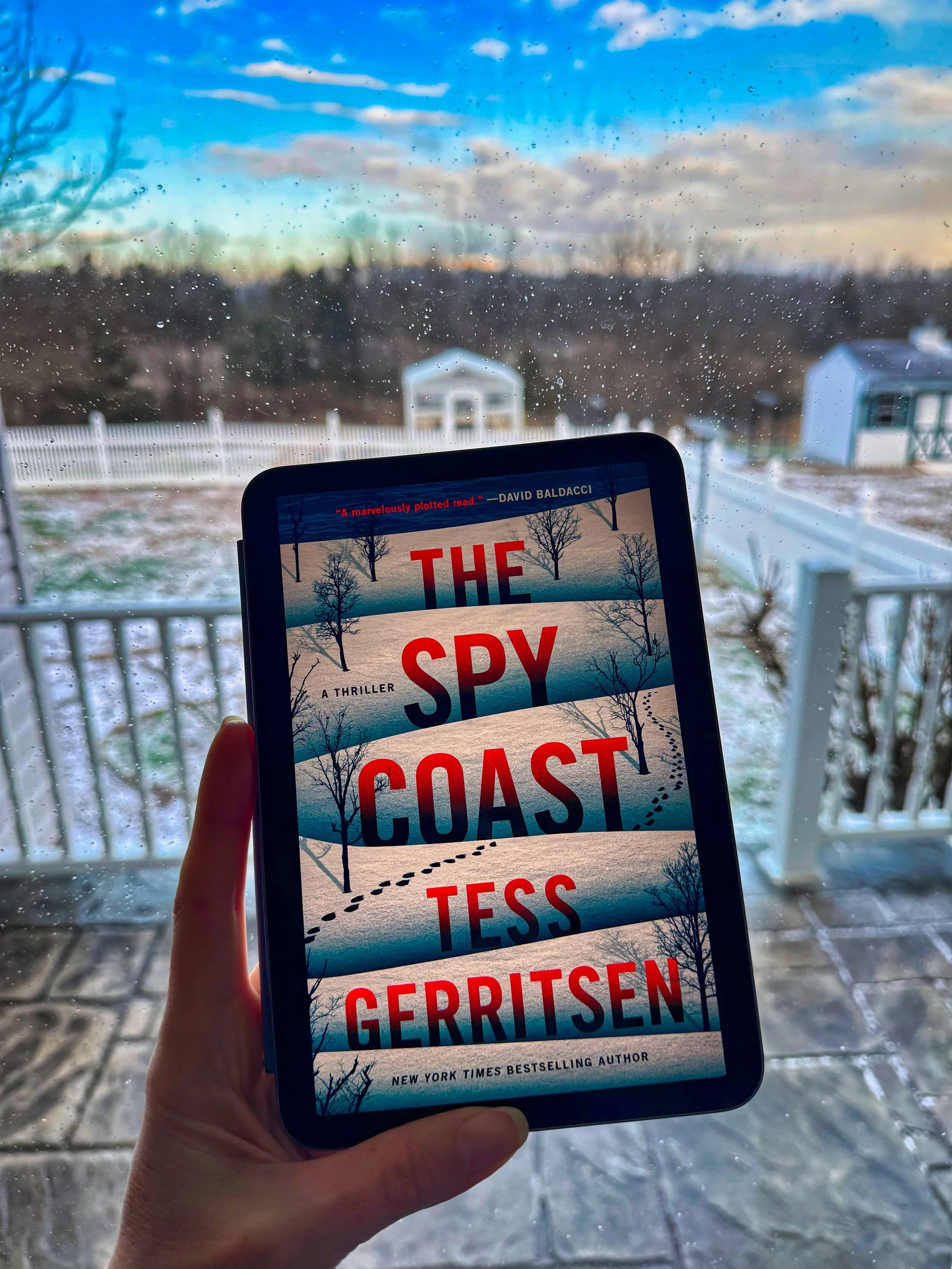 The Spy Coast (by Tess Gerritsen)