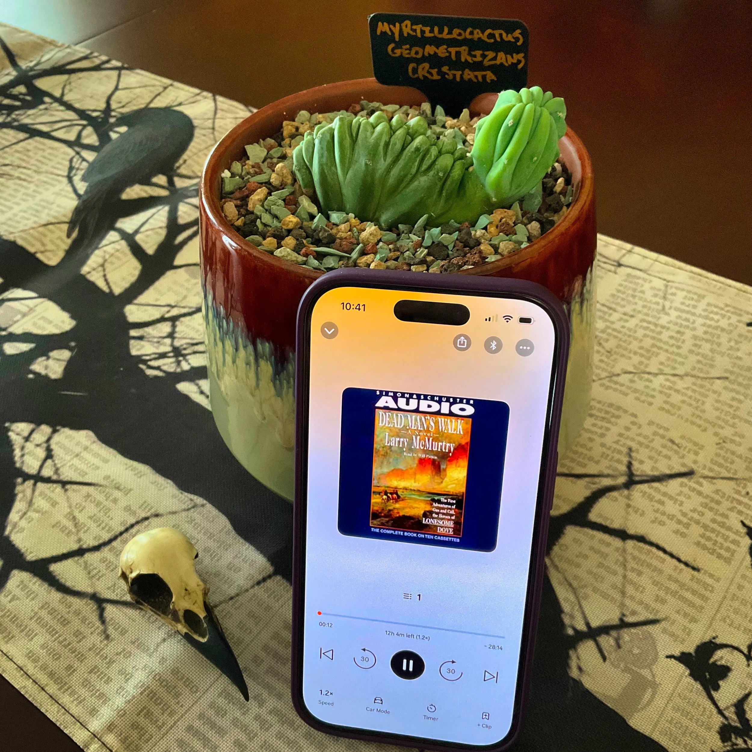 Dead Man’s Walk (by Larry McMurtry)