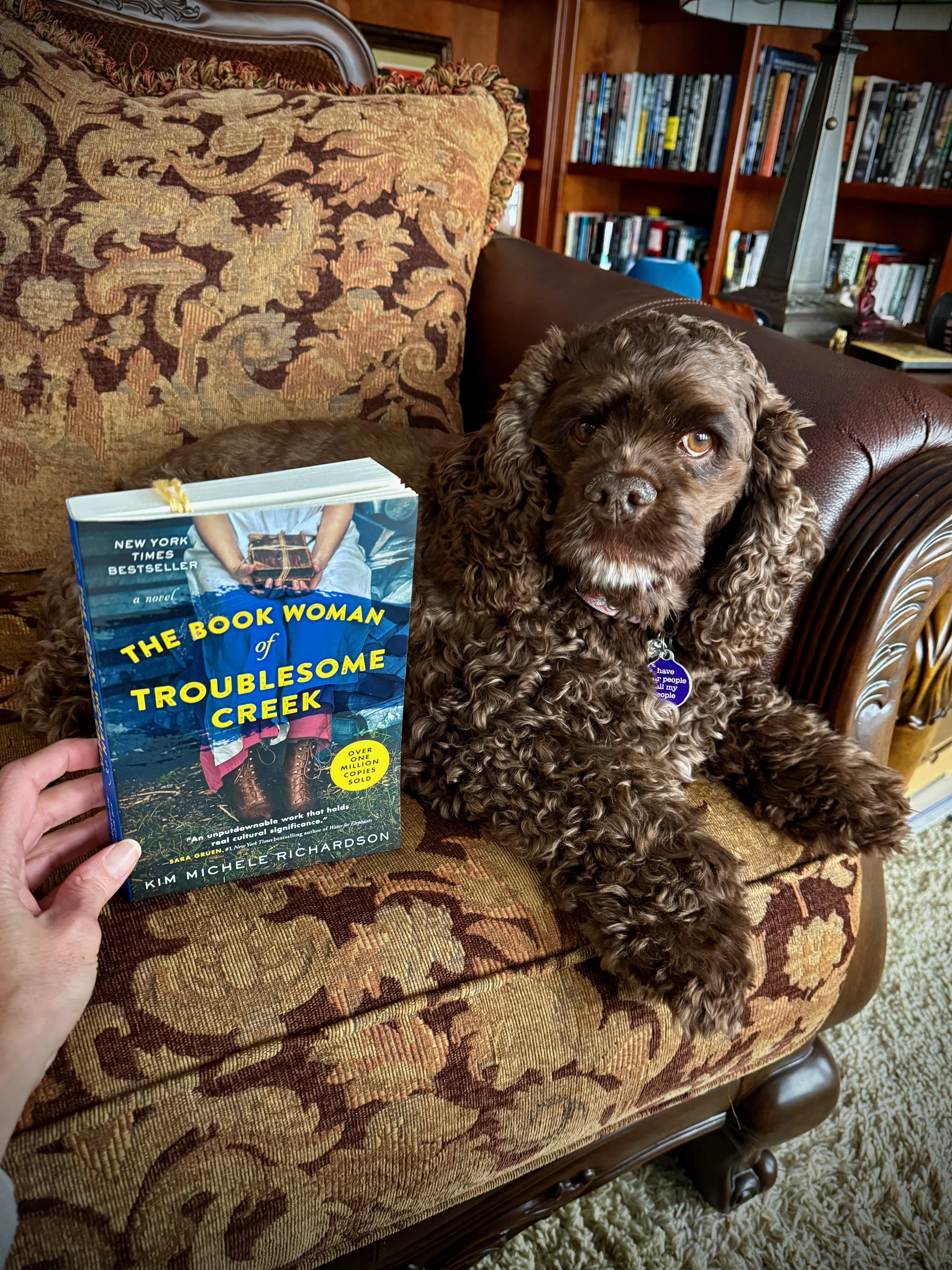 The Book Woman of Troublesome Creek (by Kim Michele Richardson)