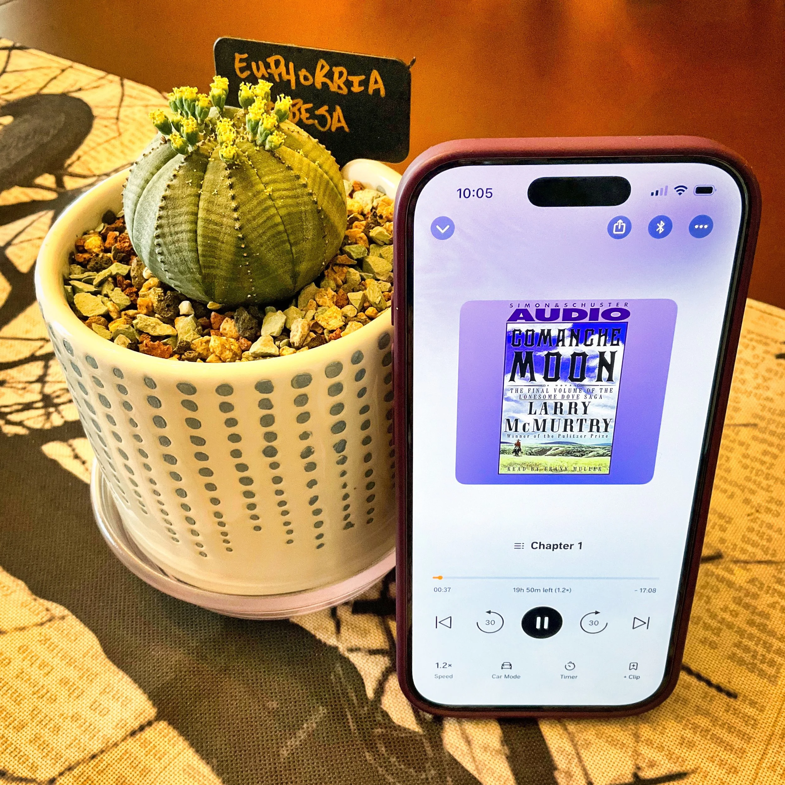 Comanche Moon (by Larry McMurtry)