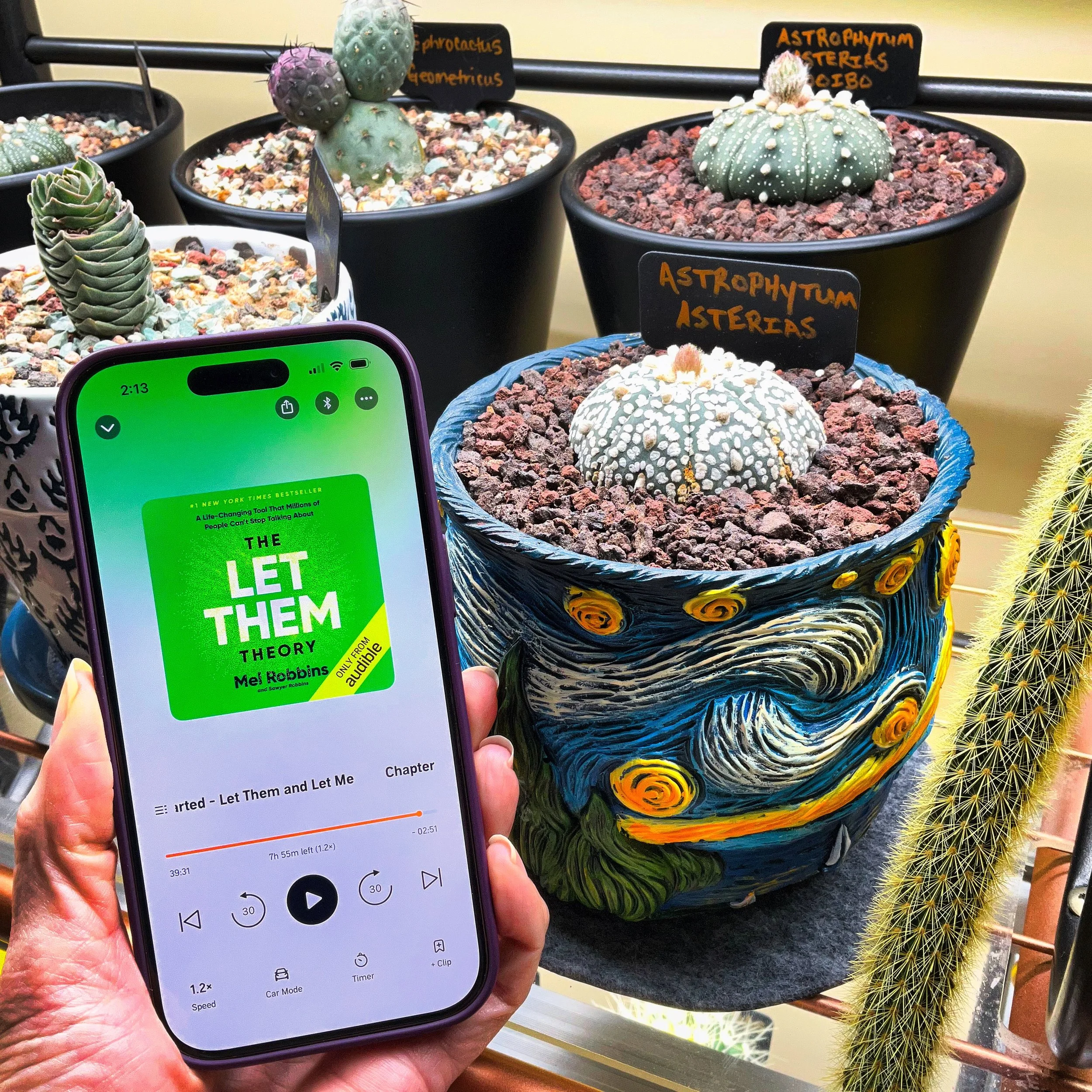 The Let Them Theory (by Mel Robbins