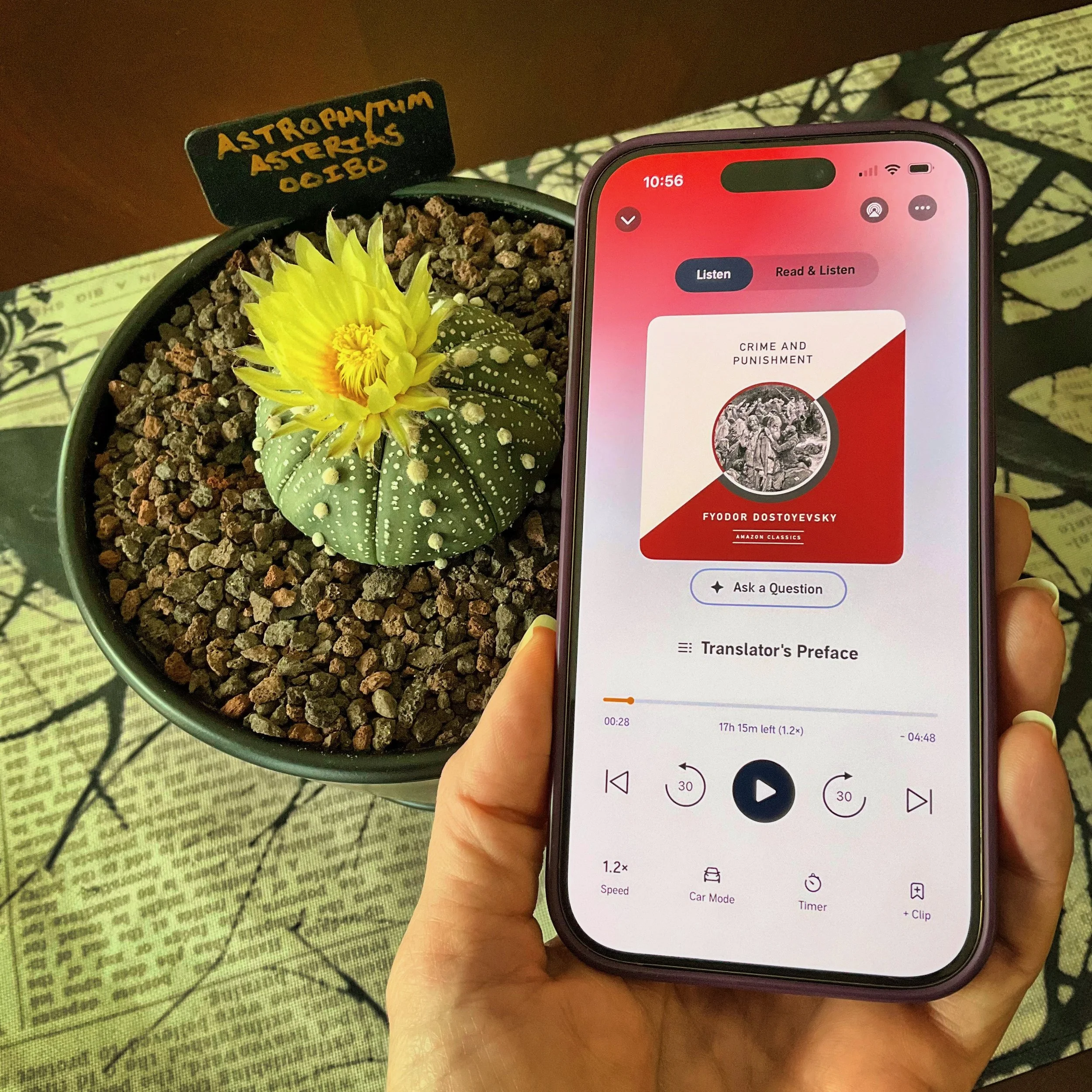 Crime and Punishment (by Fyodor Dostoyevsky)