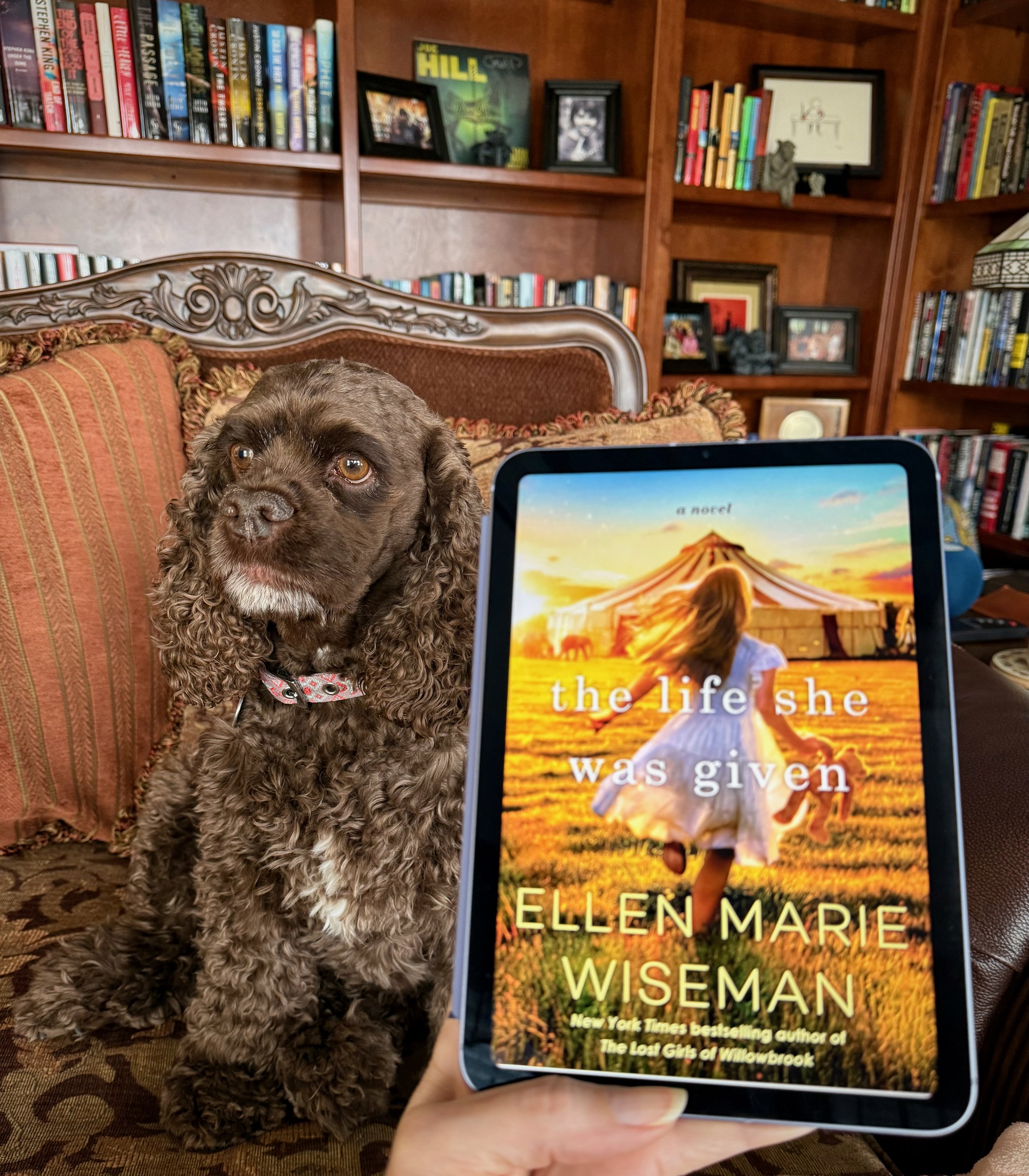 The Life She Was Given (by Ellen Marie Wiseman)