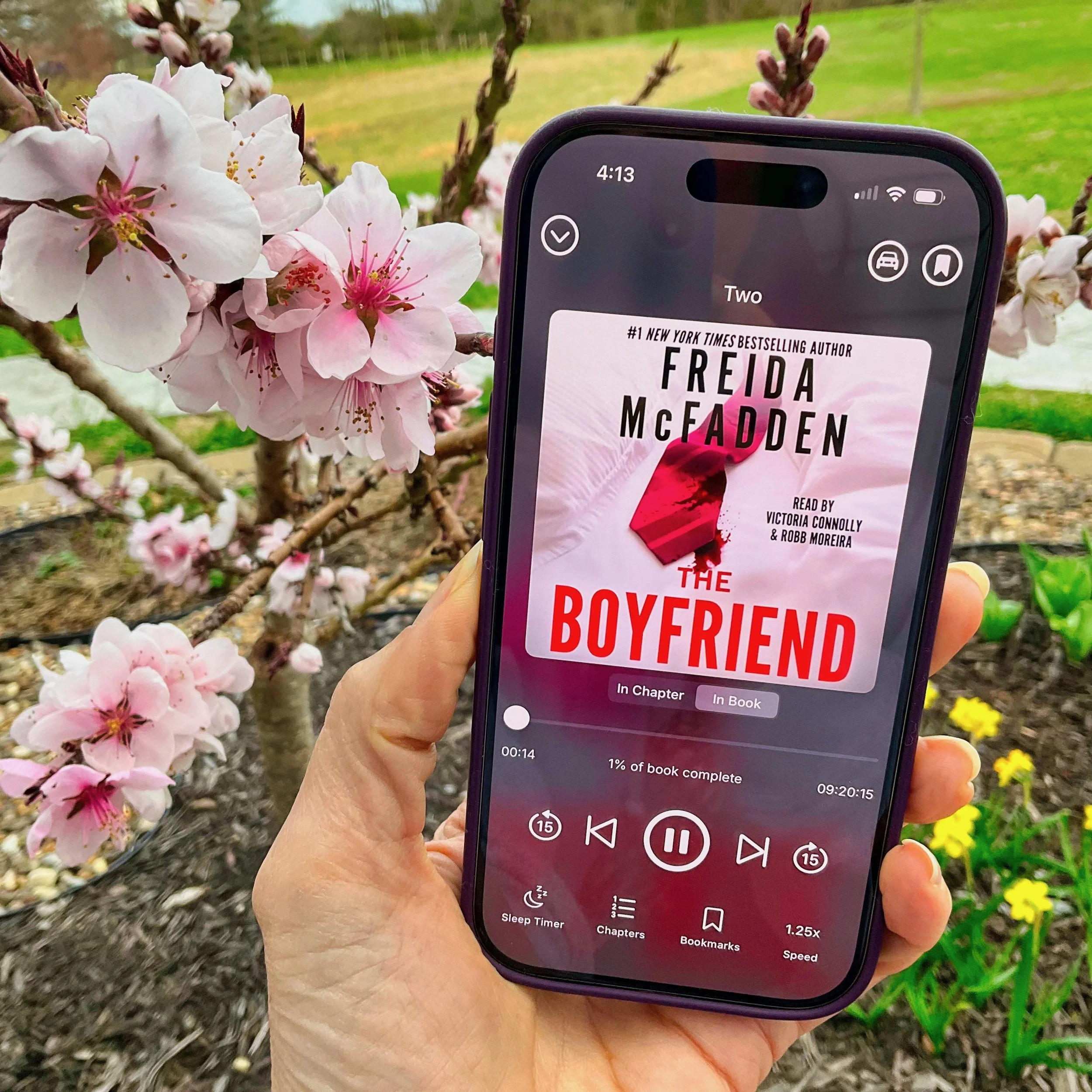 The Boyfriend (by Freida McFadden)