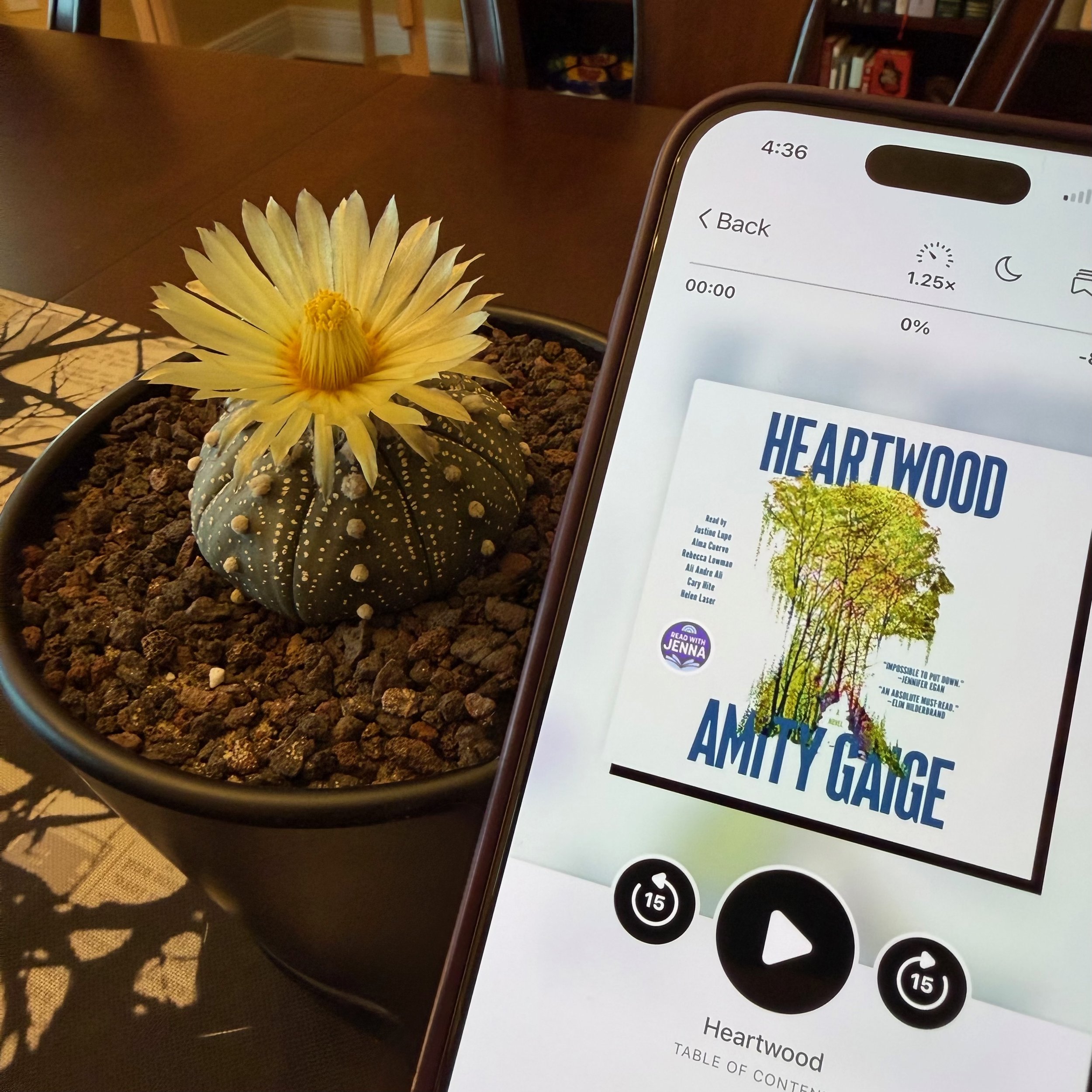 Heartwood (by Amity Gaige)