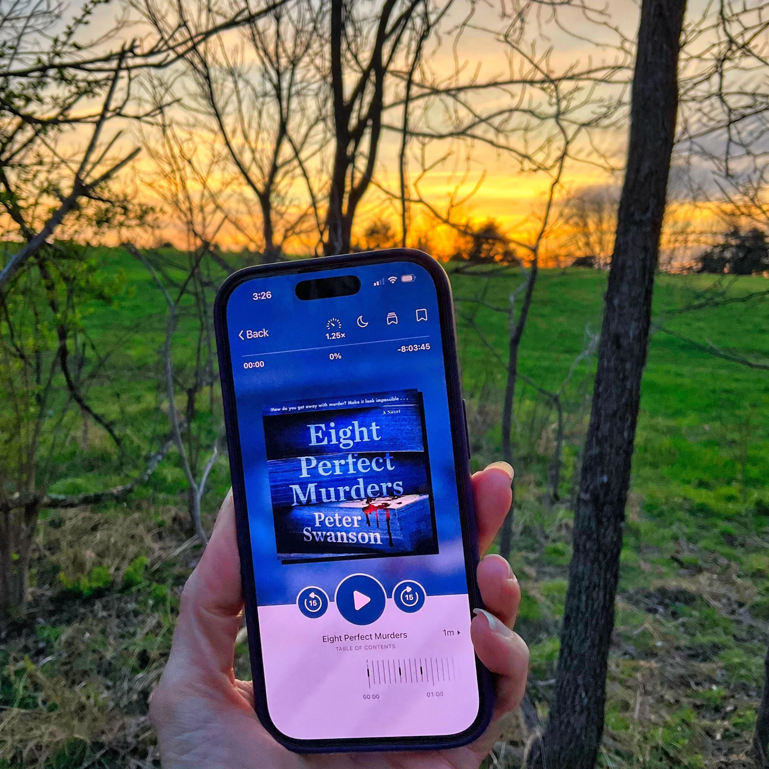 Eight Perfect Murders (by Peter Swanson)