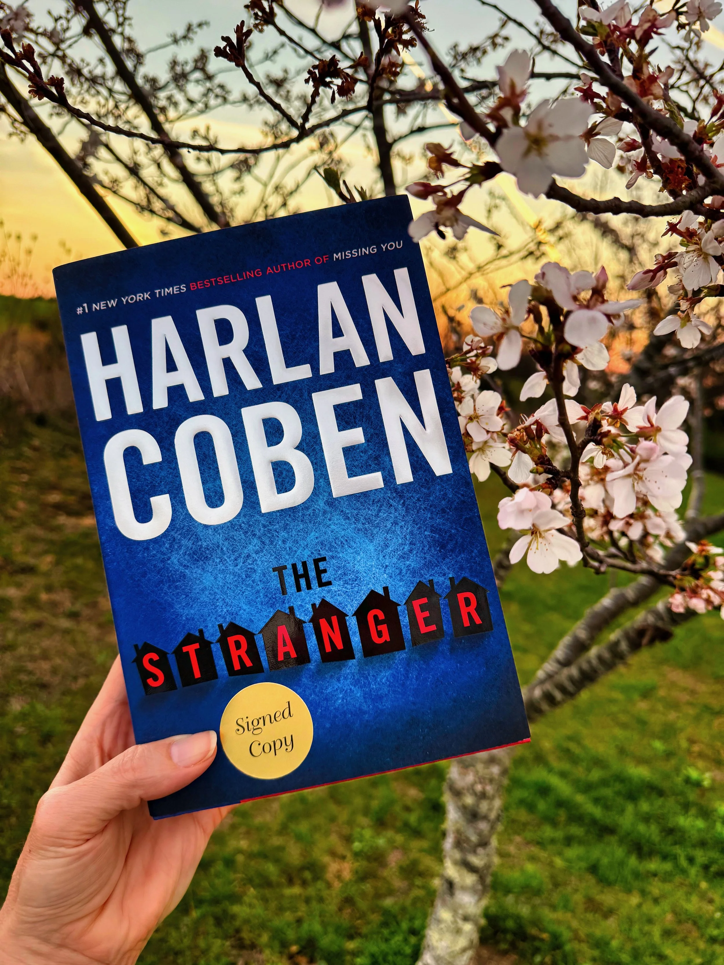 The Stranger (by Harlan Coben)