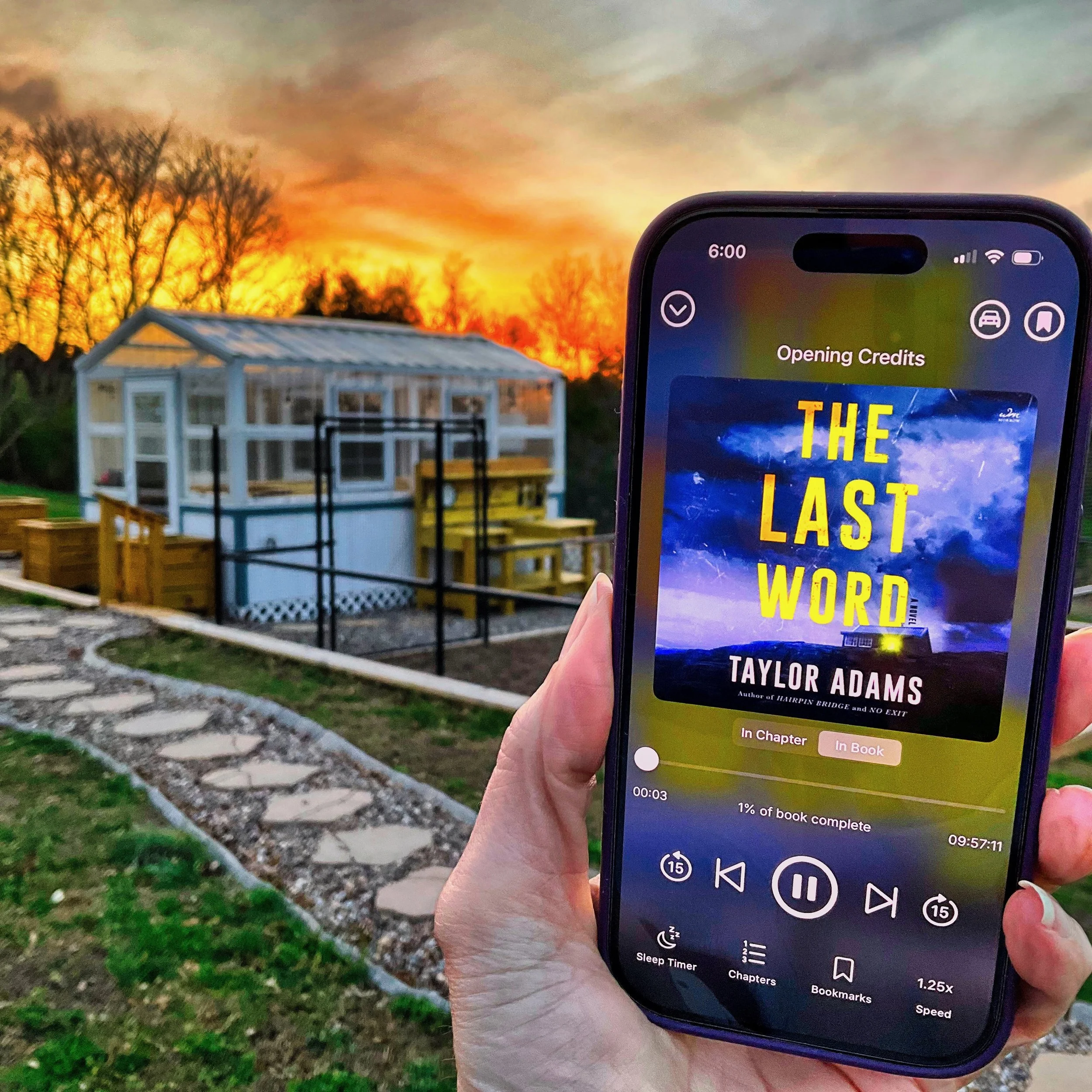 The Last Word (by Taylor Adams)