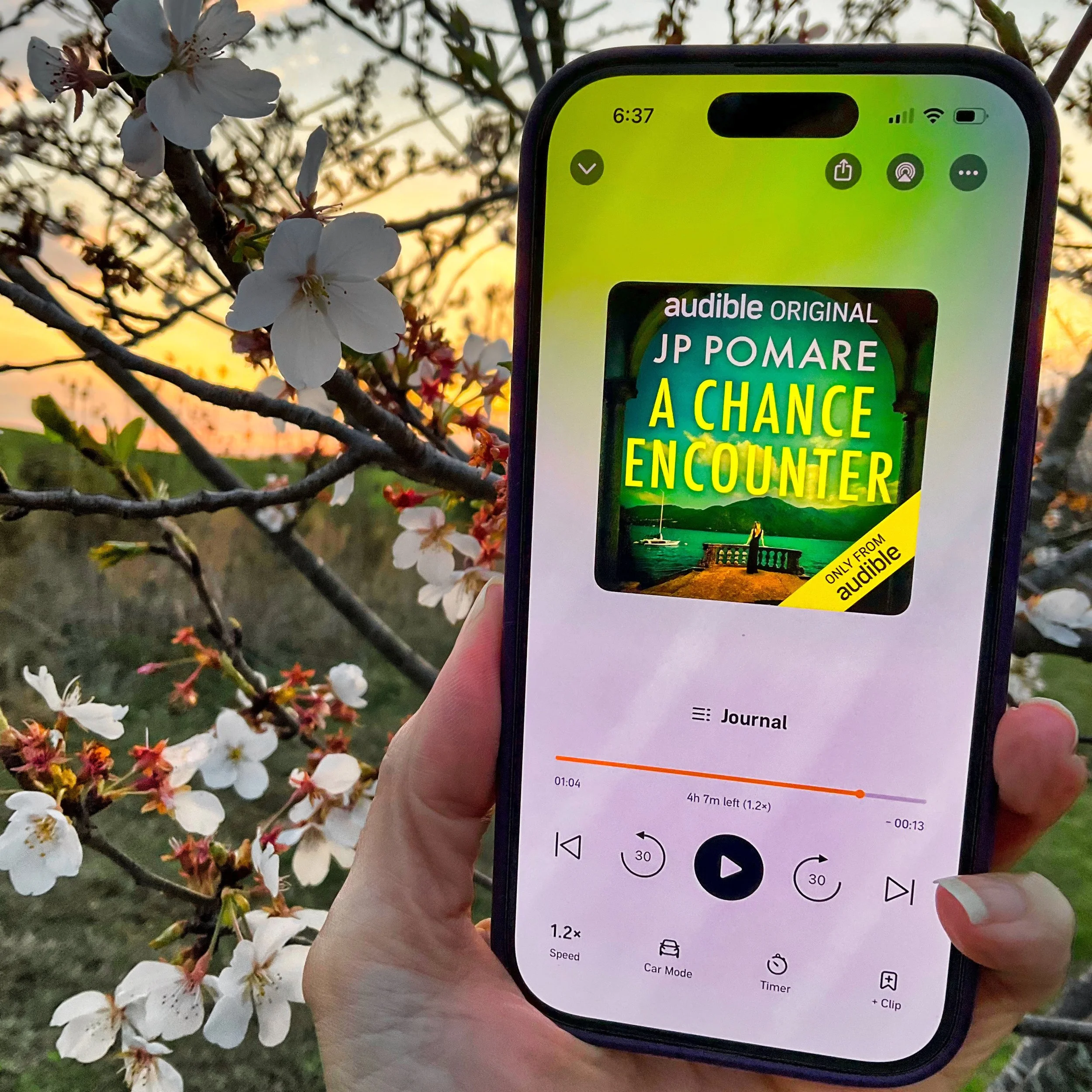 A Chance Encounter (by J.P. Pomare)