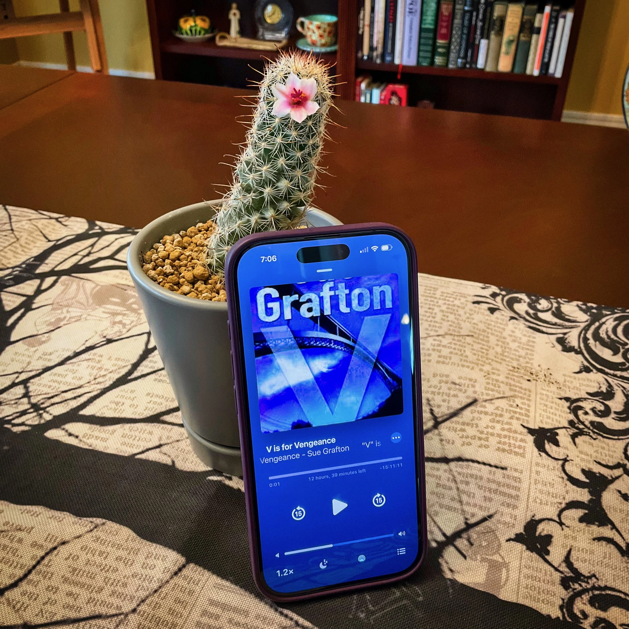 V is for Vengeance (by Sue Grafton)