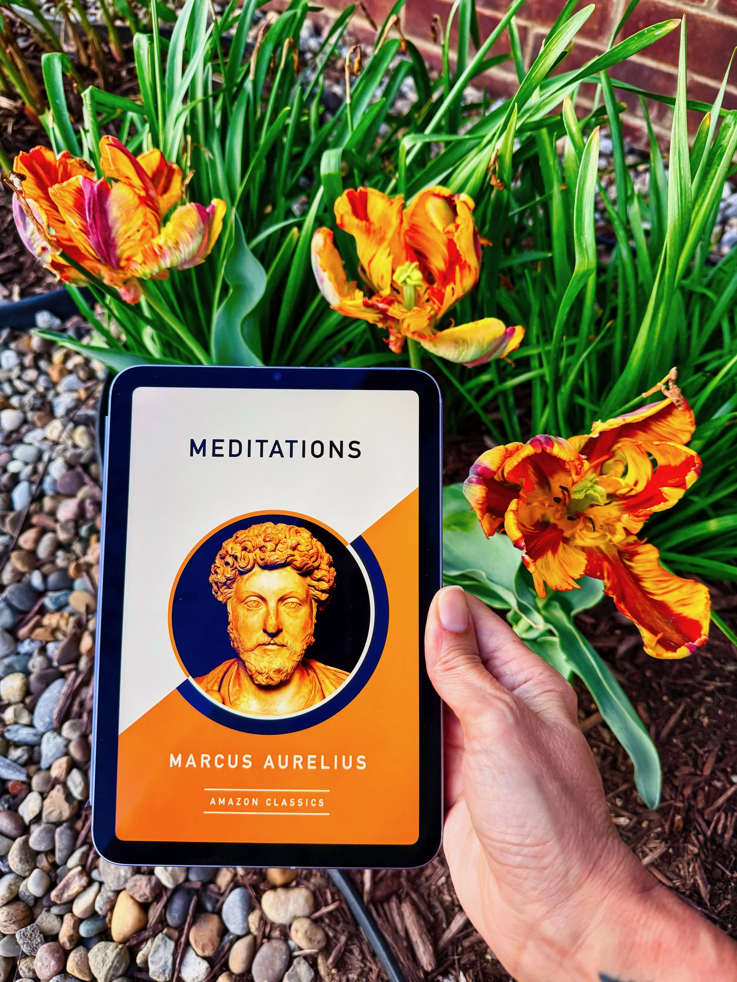 Meditations (by Marcus Aurelius)