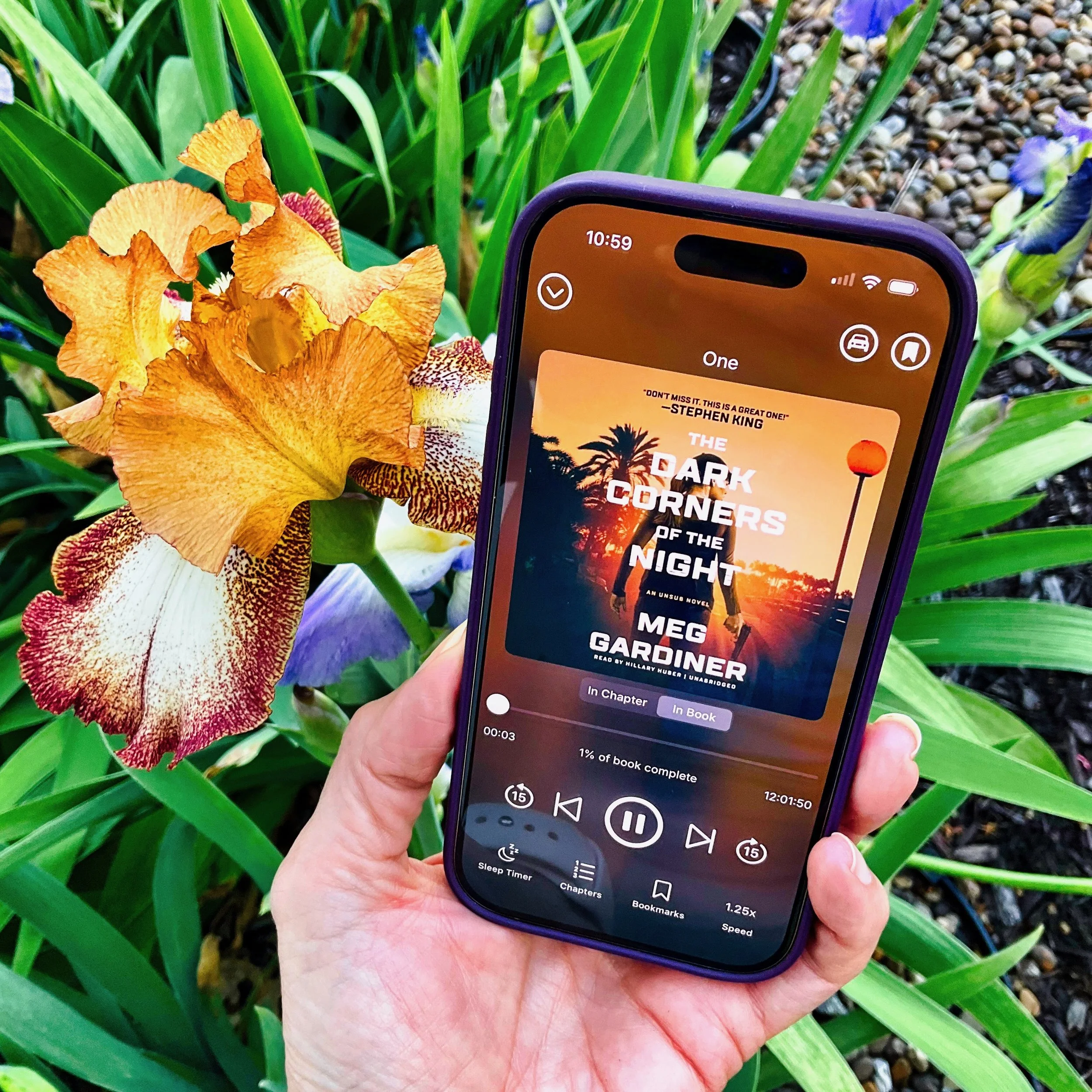 The Dark Corners of the Night (by Meg Gardiner)