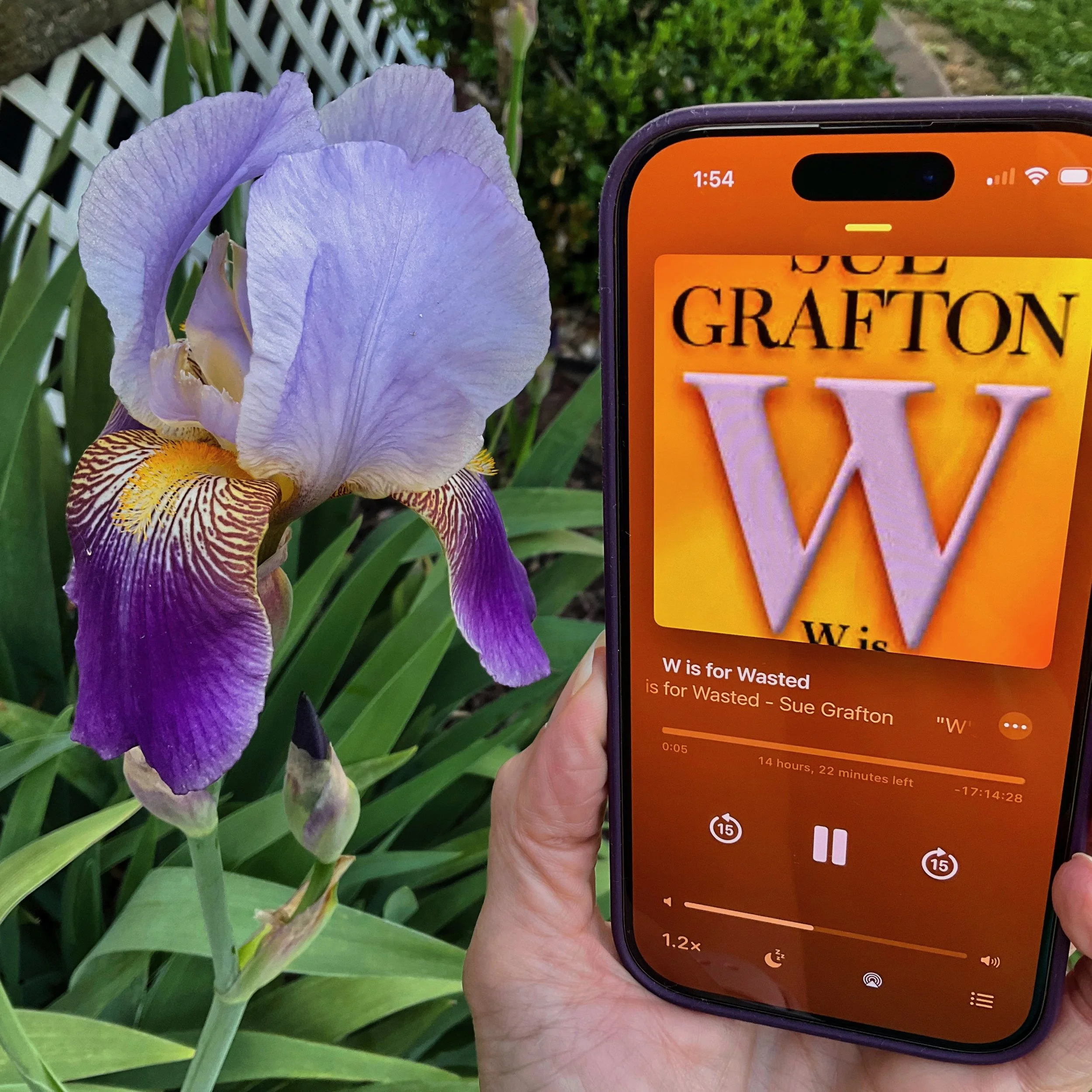 W is for Wasted (by Sue Grafton)