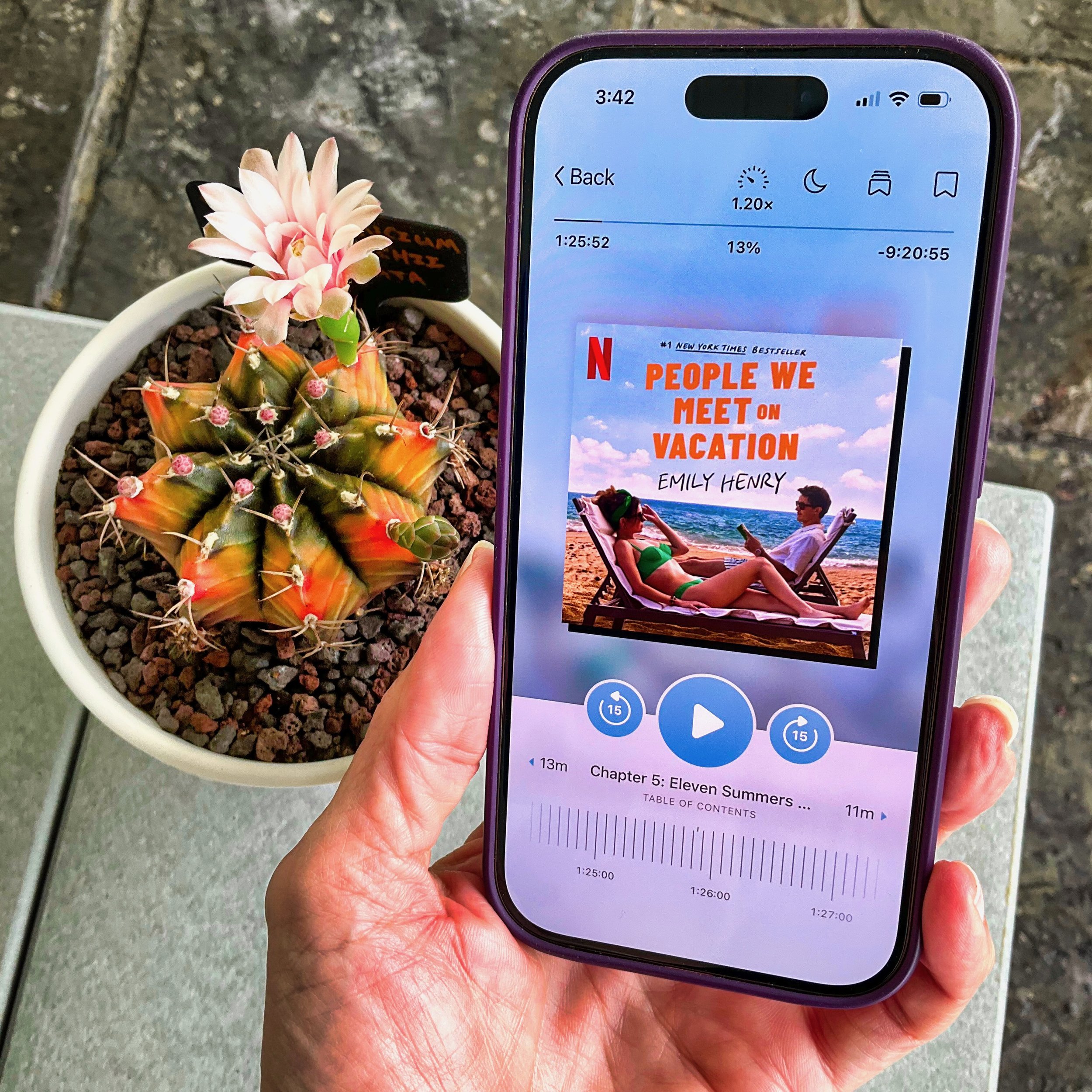 People We Meet On Vacation (by Emily Henry)