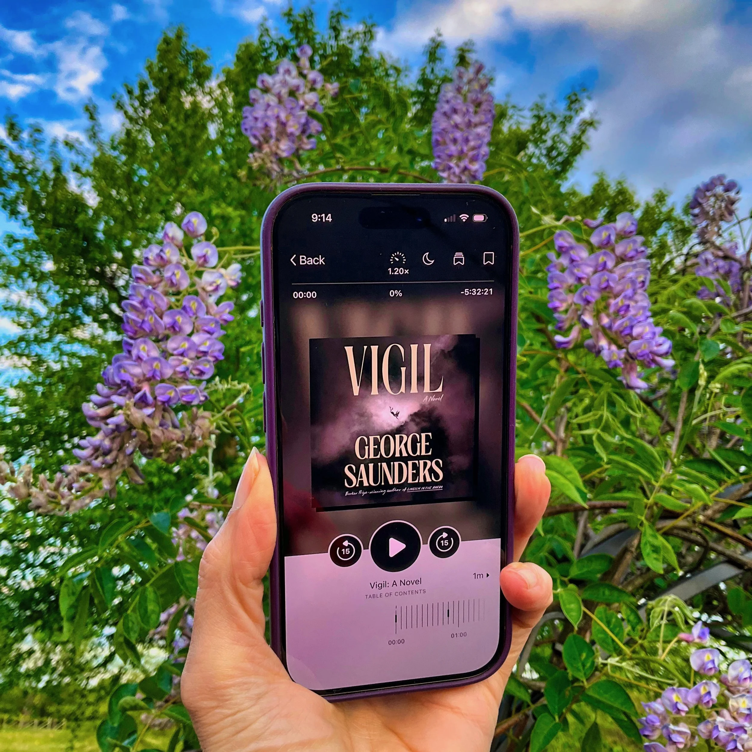 Vigil (by George Saunders)