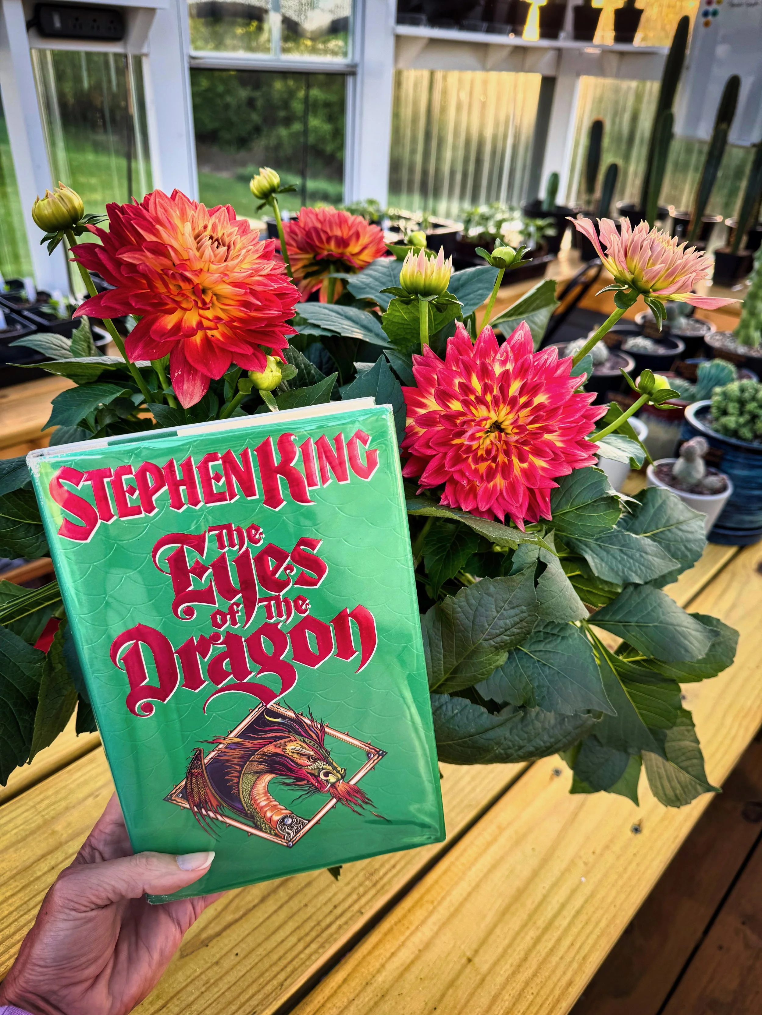 The Eyes of the Dragon (by Stephen King)