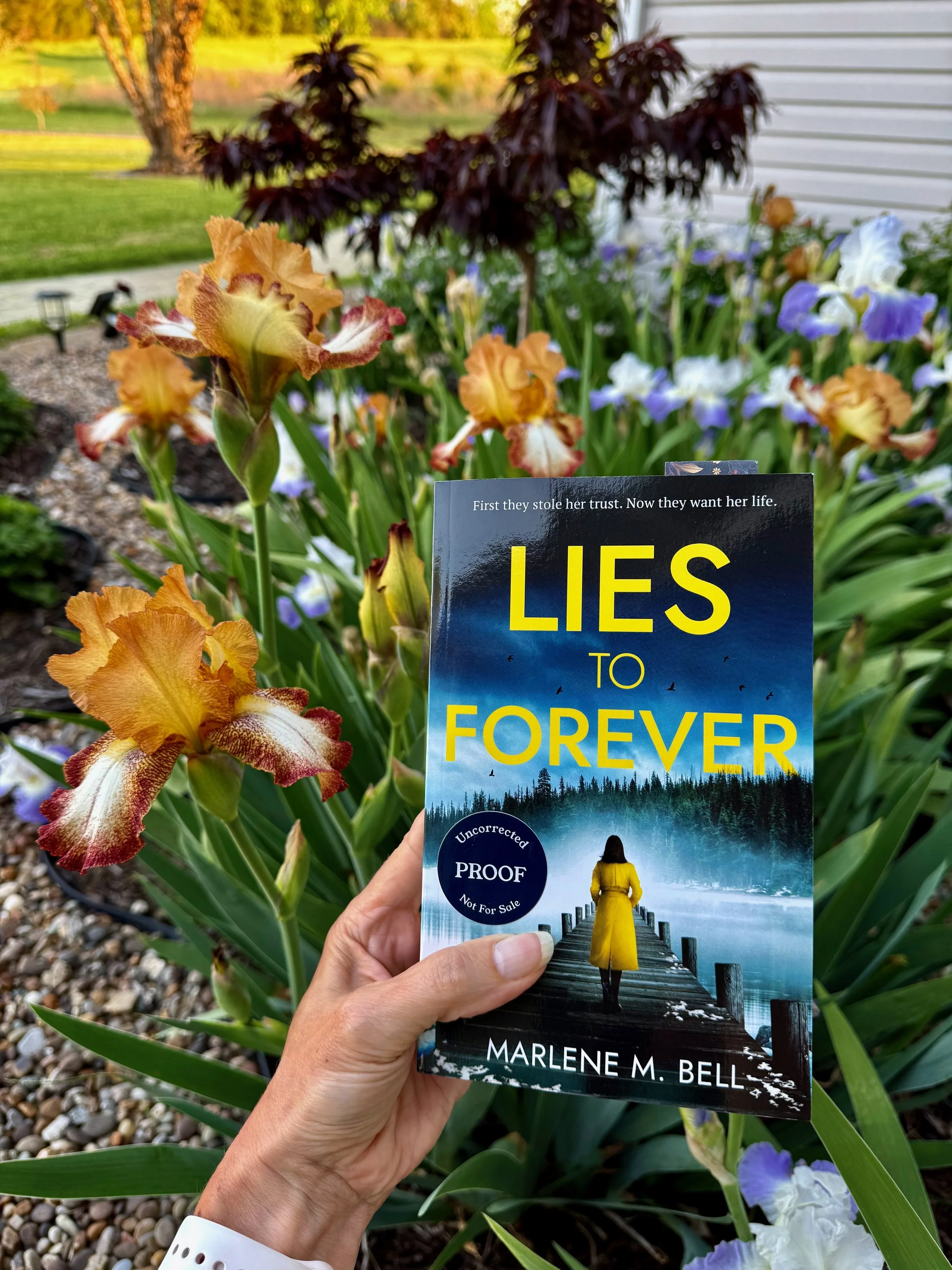 Lies to Forever (by Marlene M. Bell)