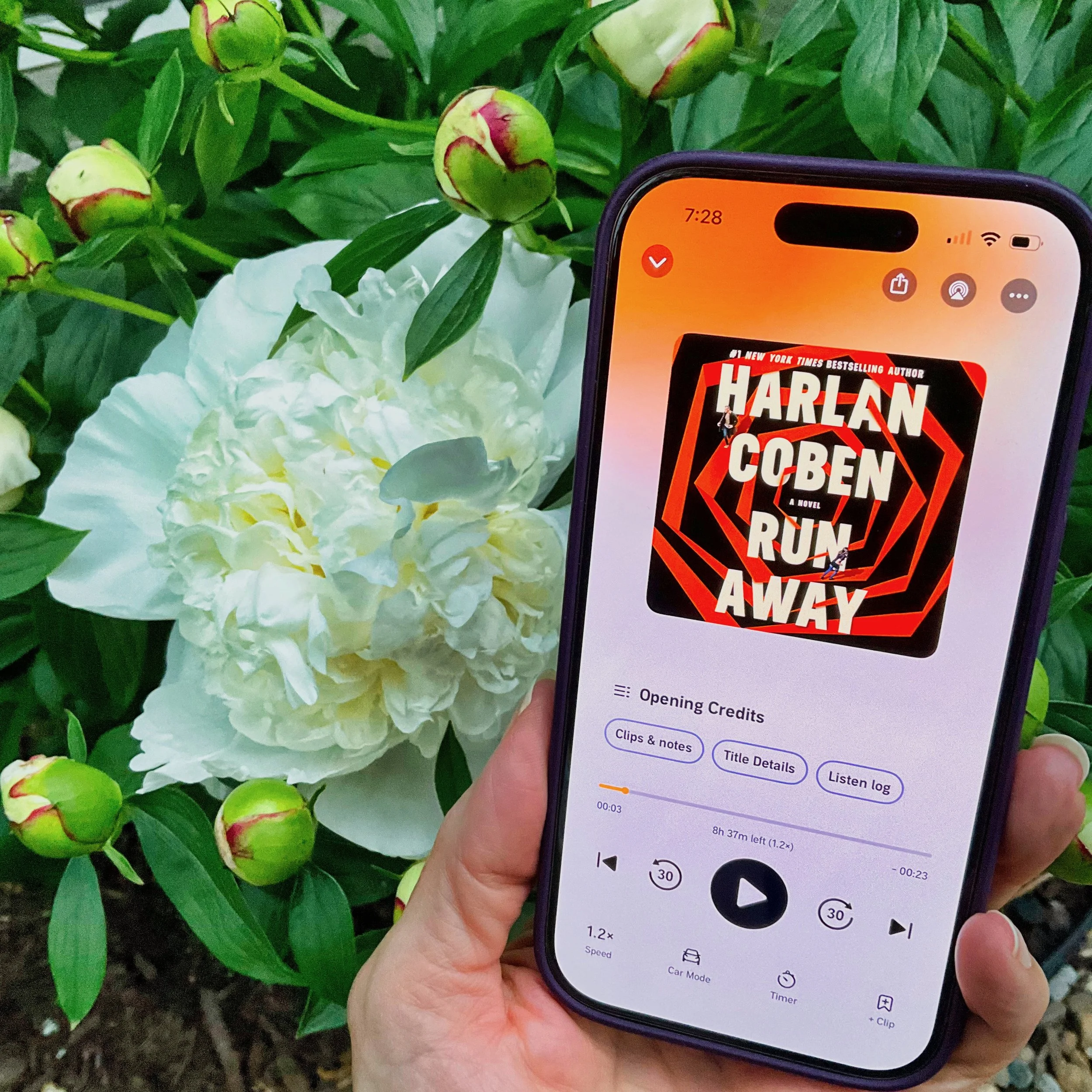 Run Away (by Harlan Coben)