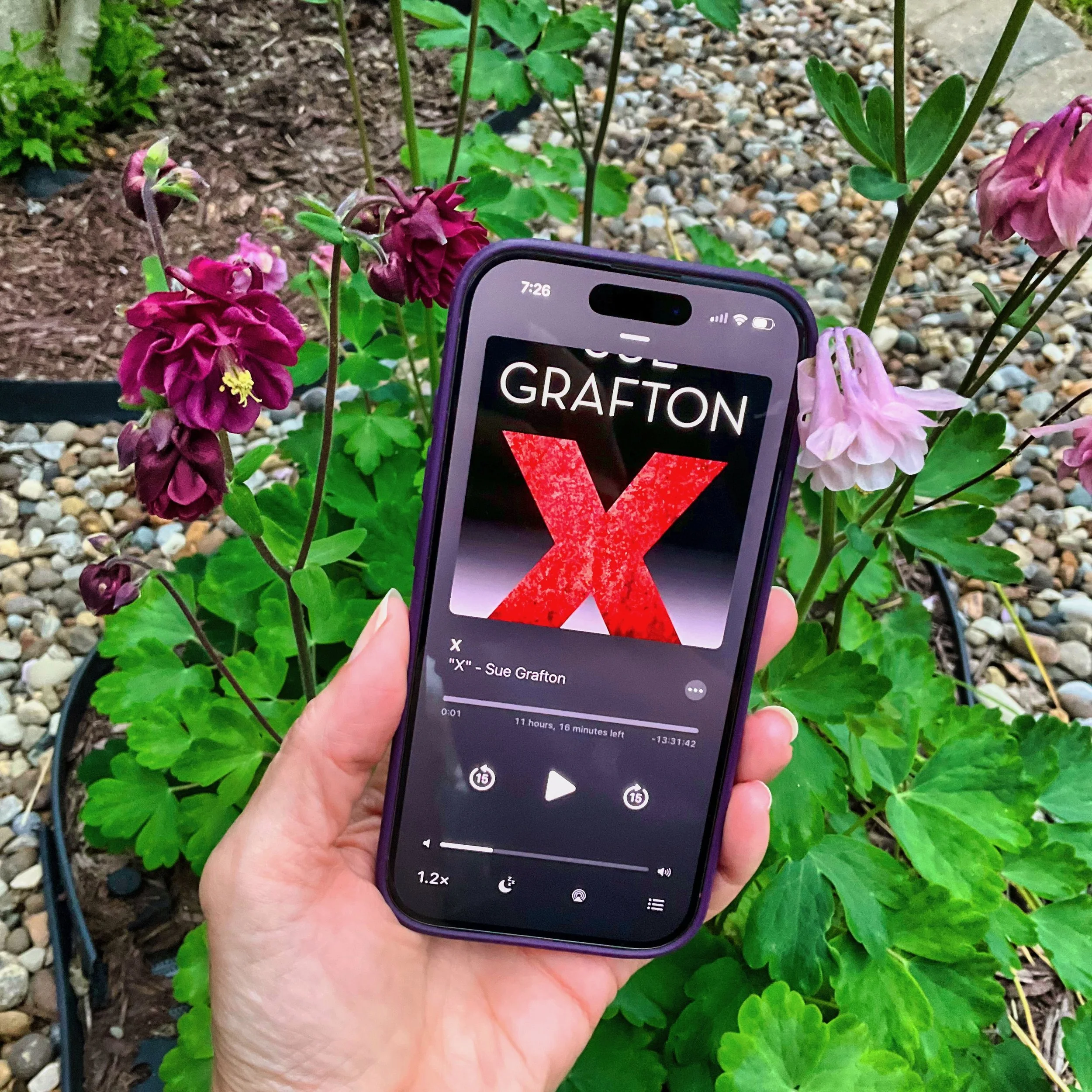 X (by Sue Grafton)
