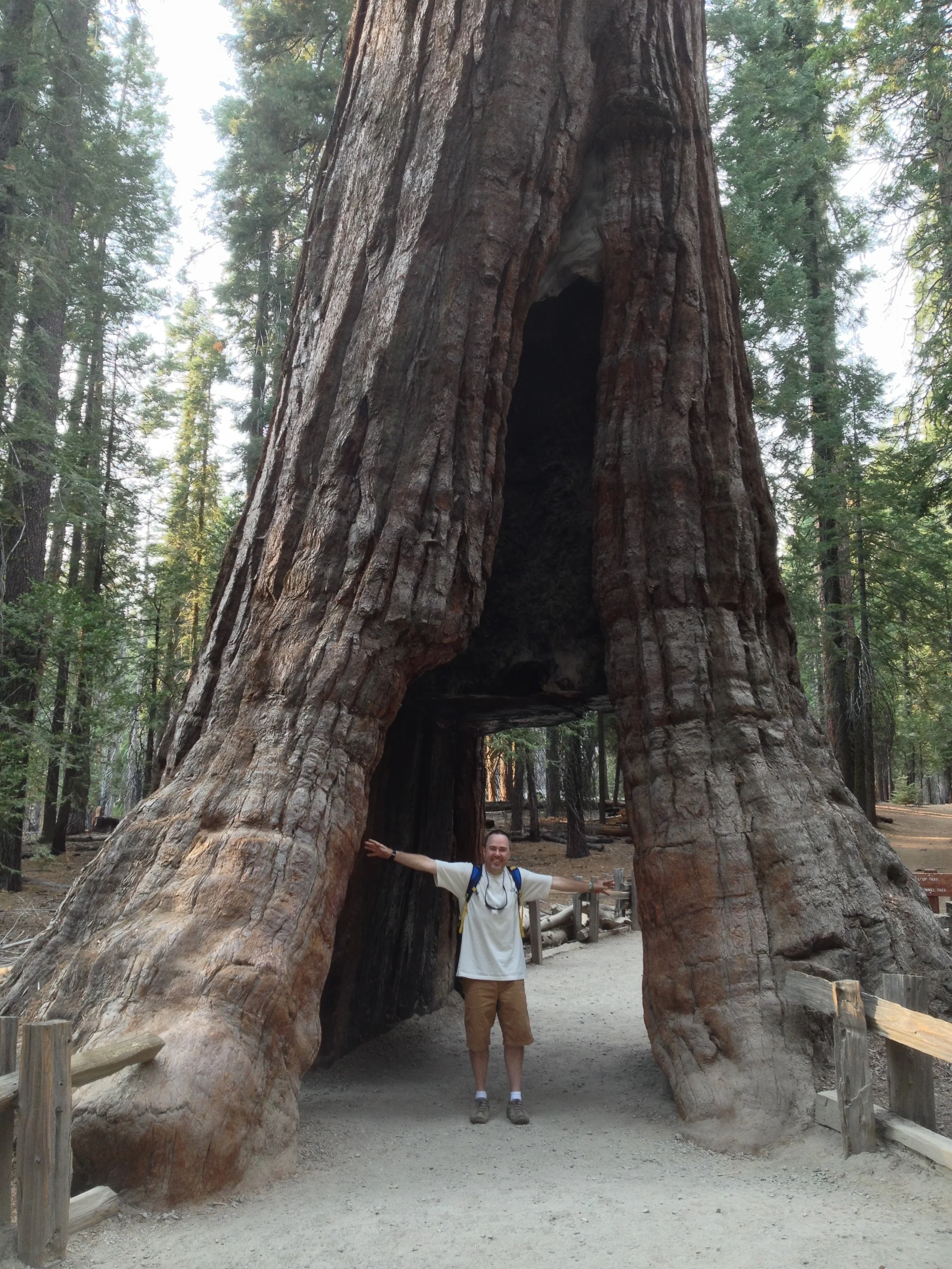 IMG_1607.jpeg